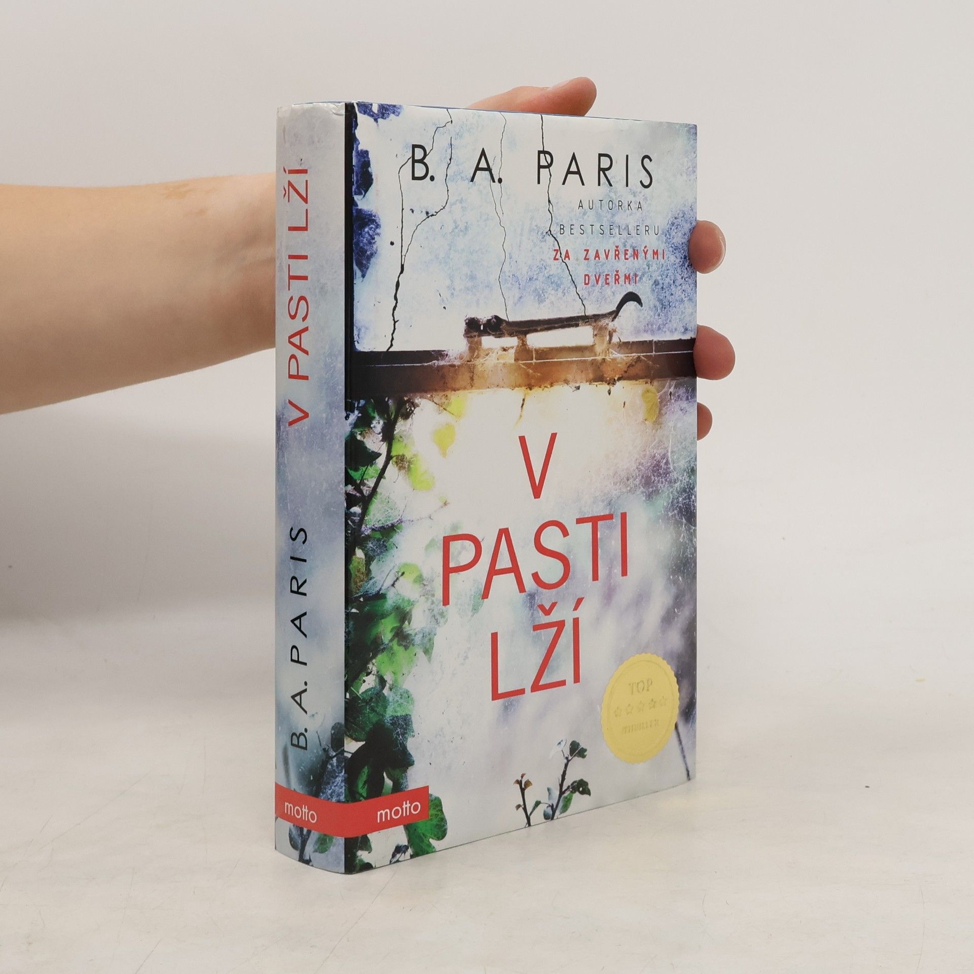 B.A. Paris V pasti lží