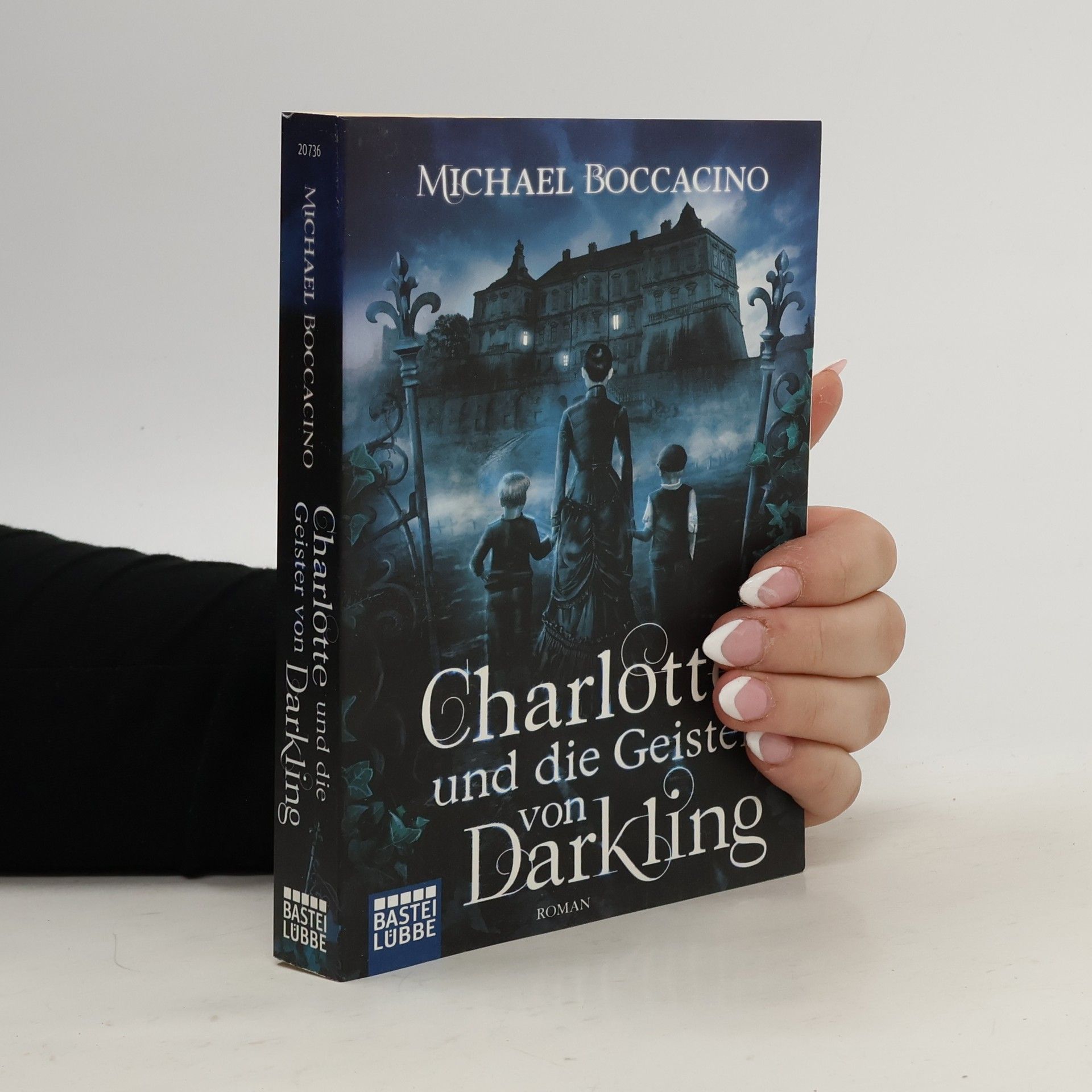 Michael Boccacino Charlotte und die Geister von Darkling