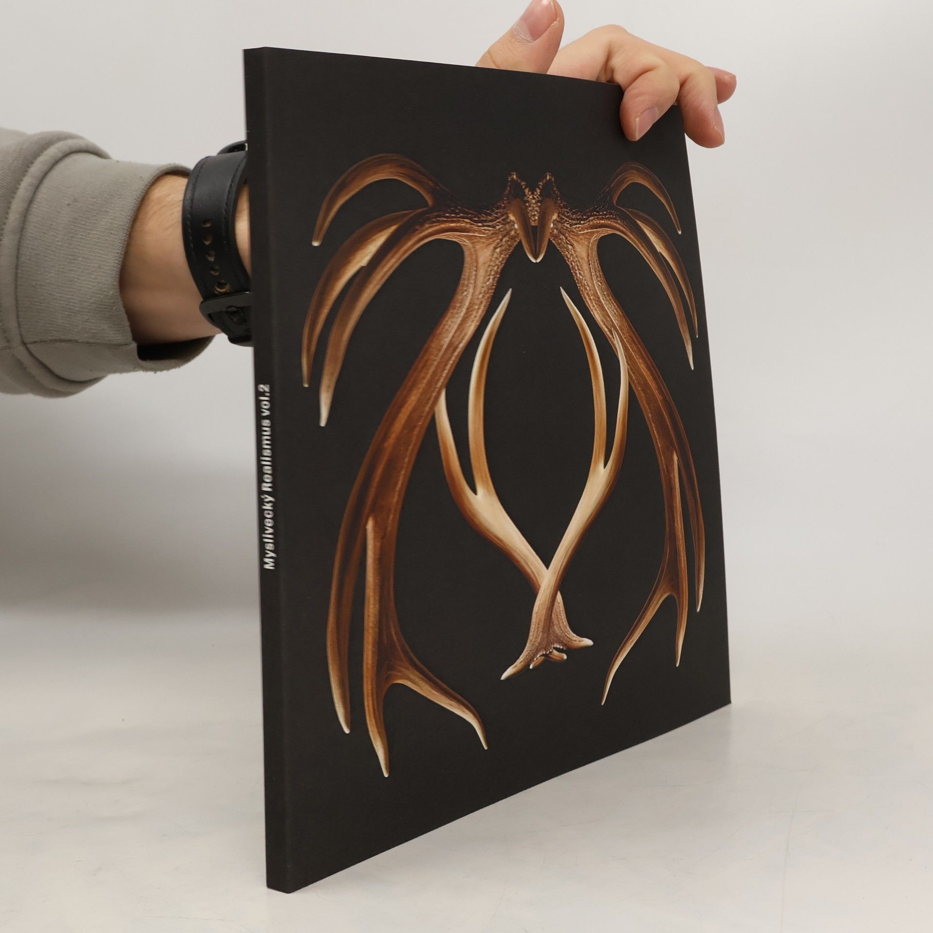 Kolektiv autorů Myslivecký realismus vol. 2