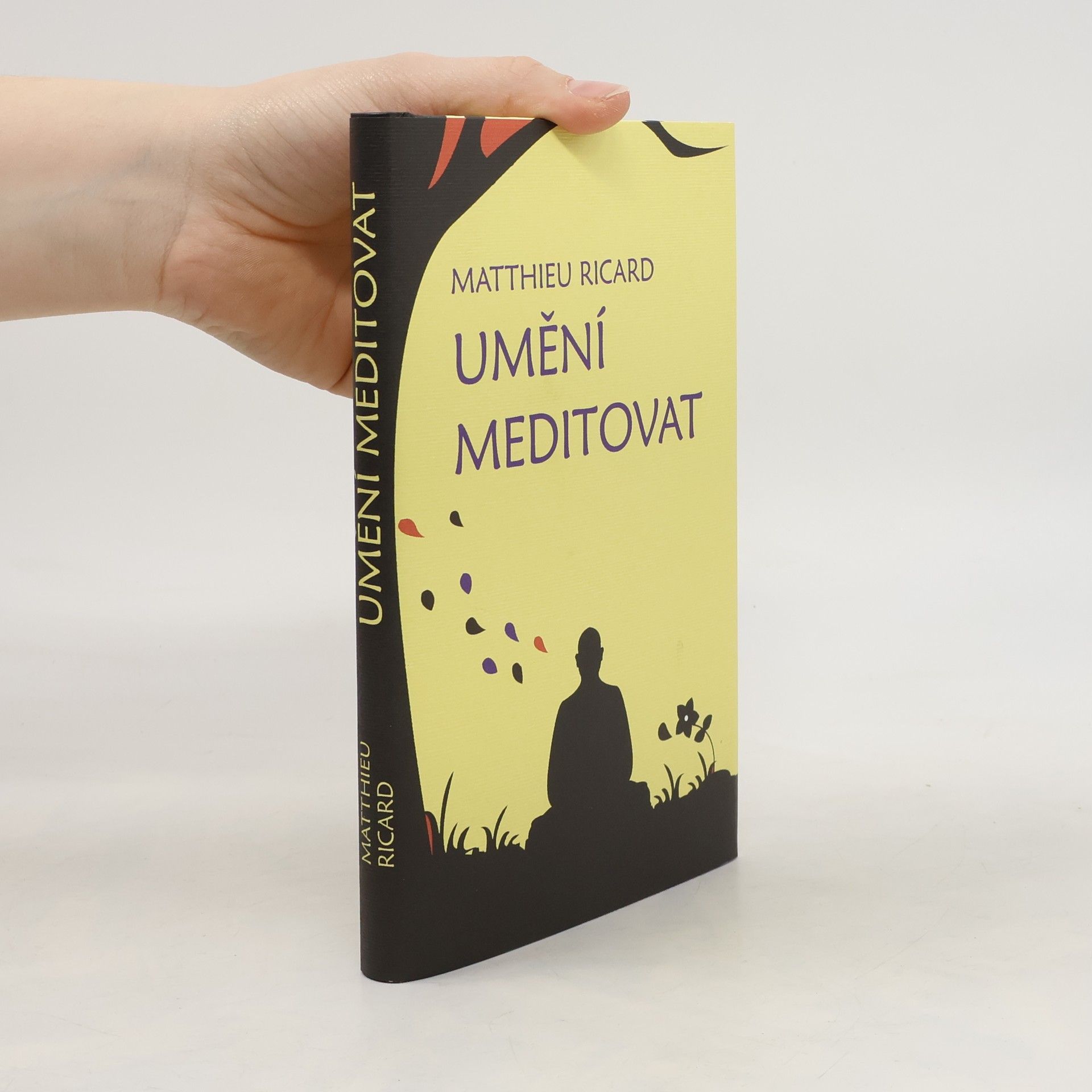 Matthieu Ricard Umění meditovat