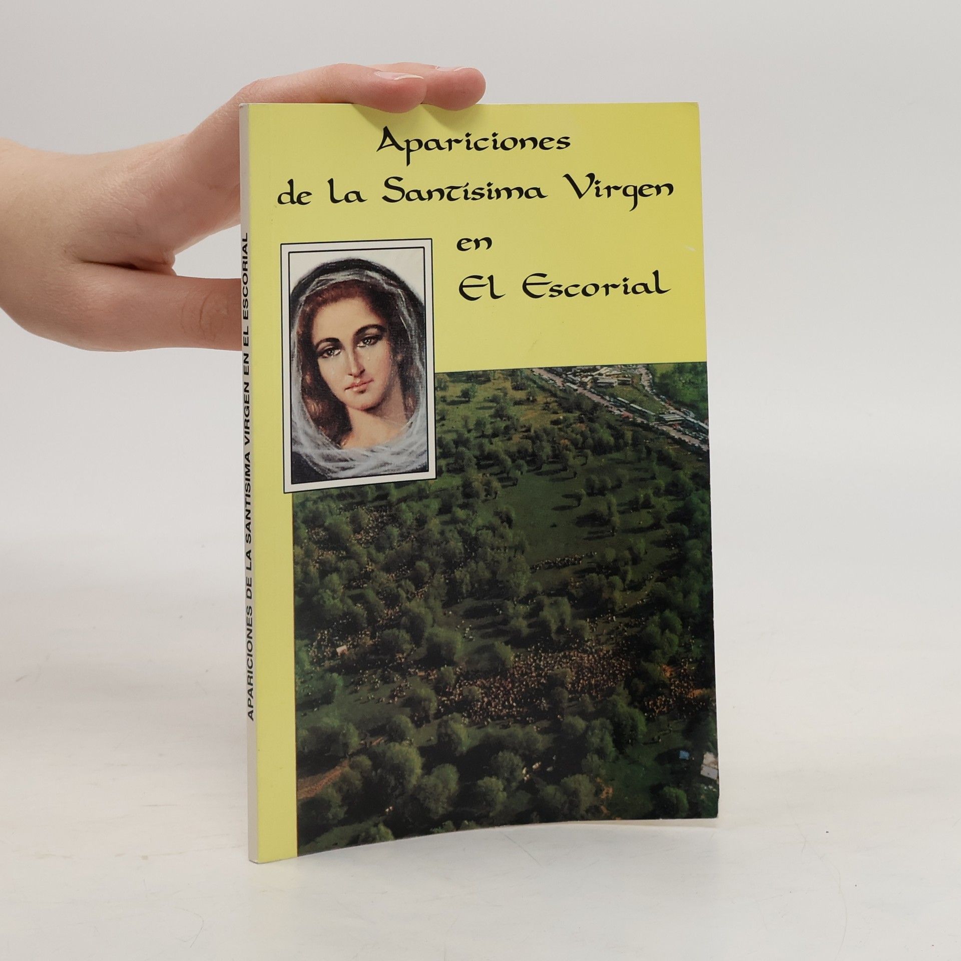 Autores varios Apariciones de la Santísima Virgen en El Escorial