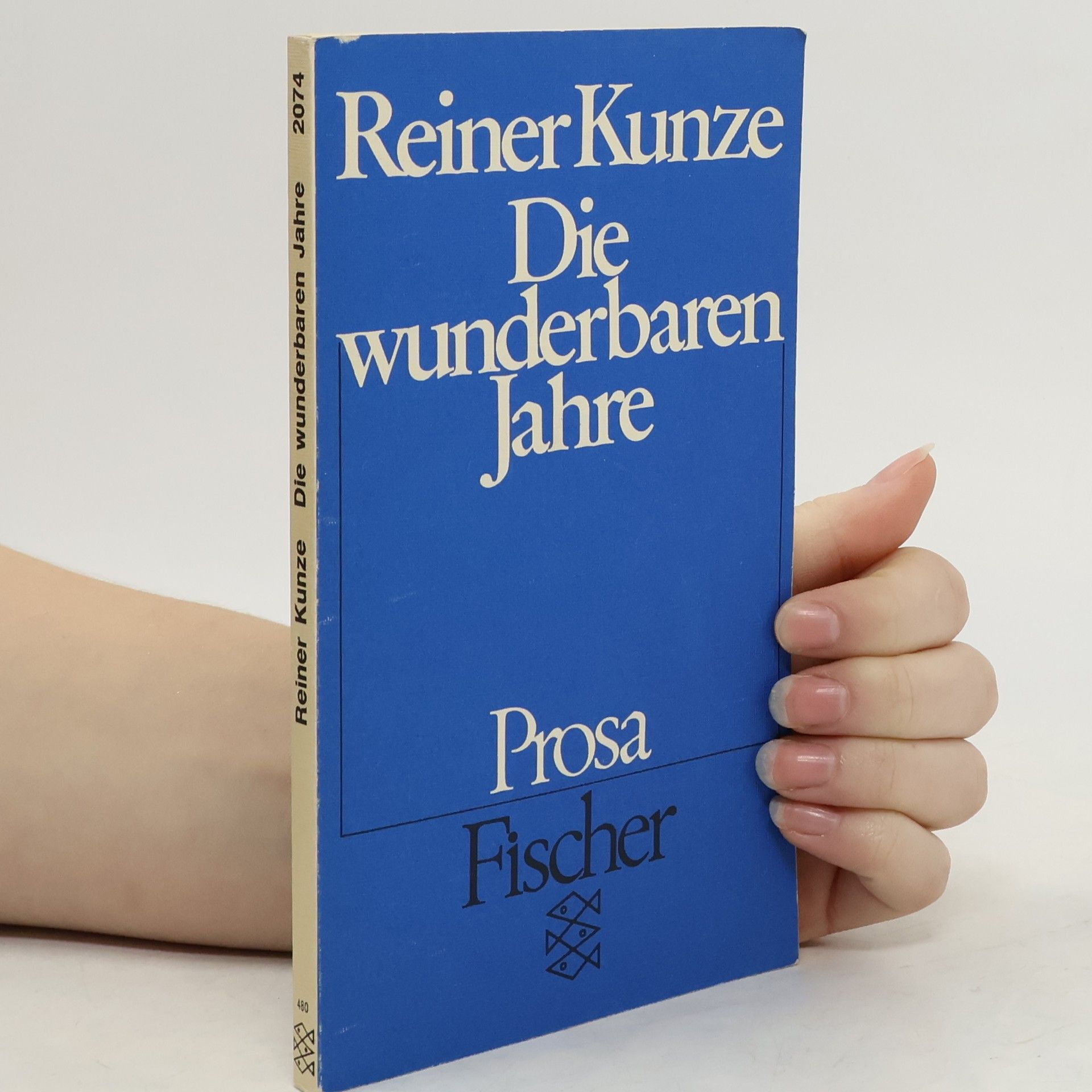 Reiner Kunze Die wunderbaren Jahre