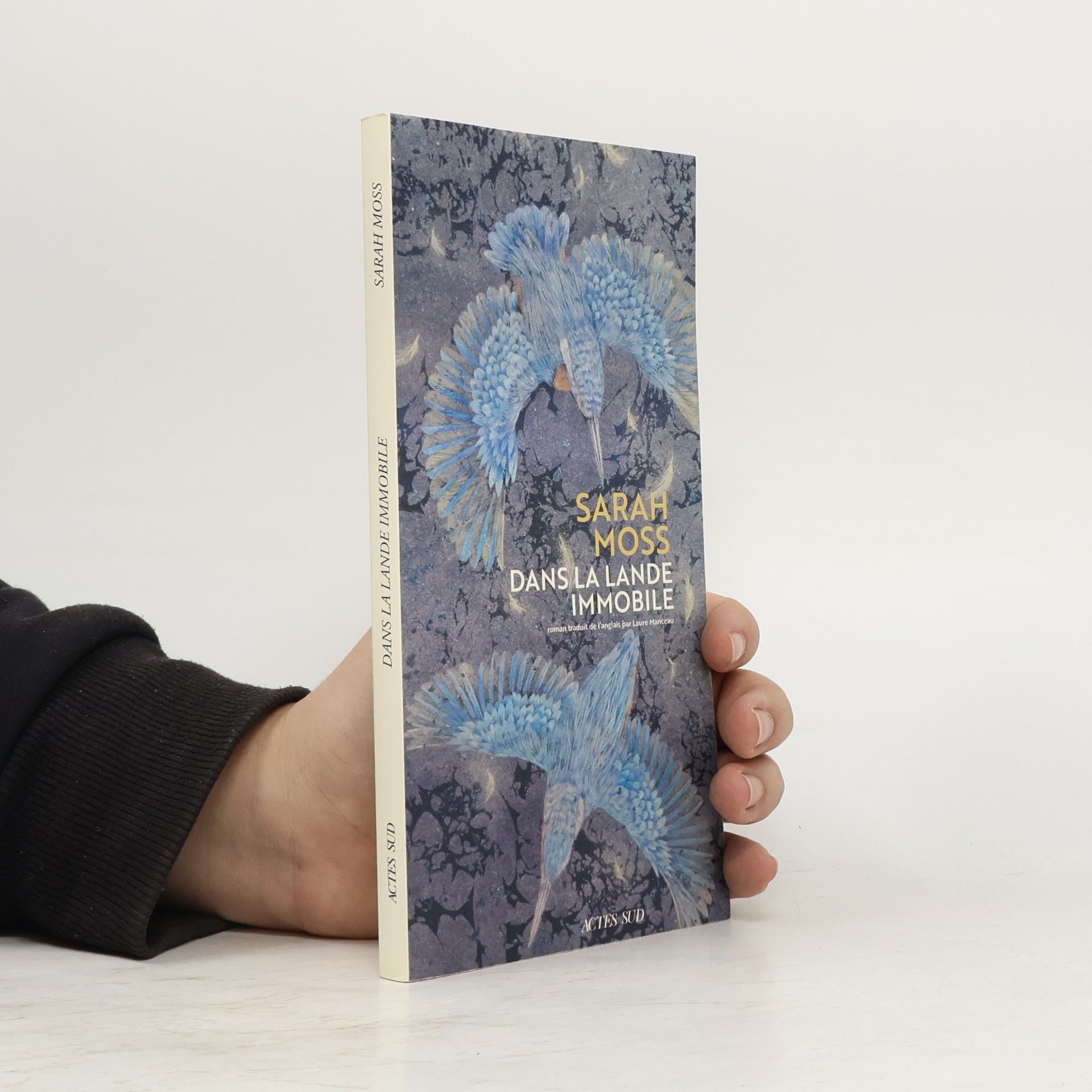 Romans, nouvelles, récits: Dans la lande immobile