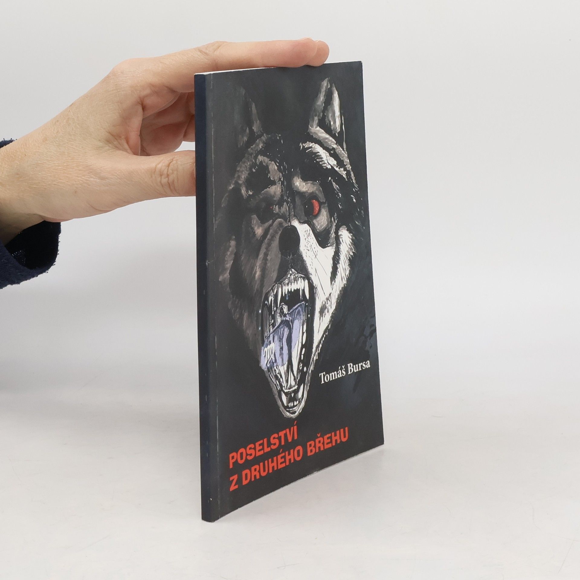 Tomáš Bursa Poselství z druhého břehu