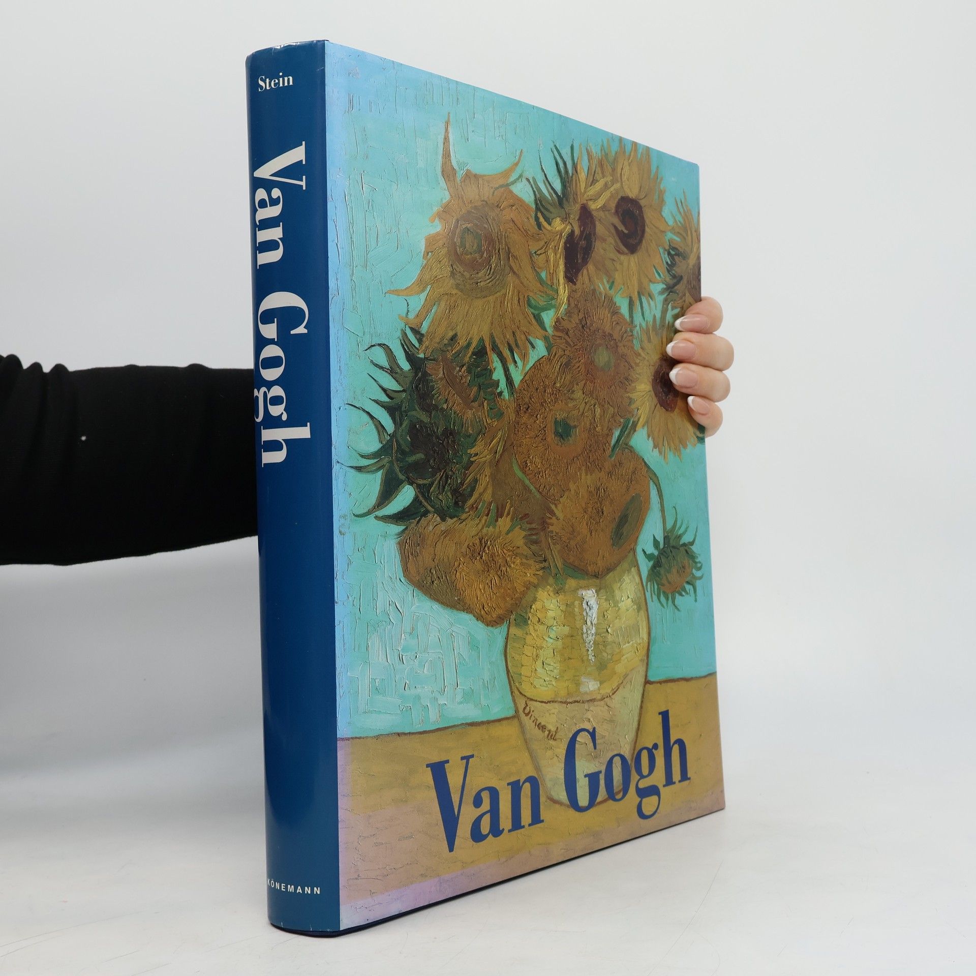 Susan Alyson Stein Van Gogh