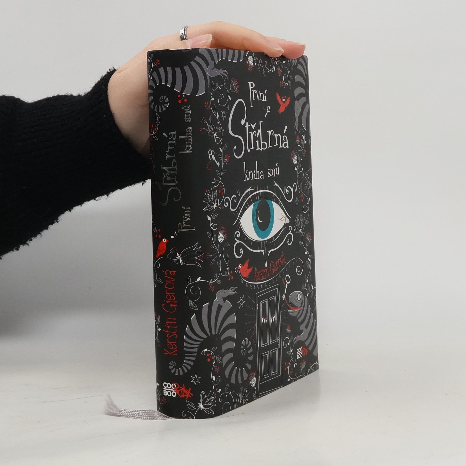 Kerstin Gier První stříbrná kniha snů