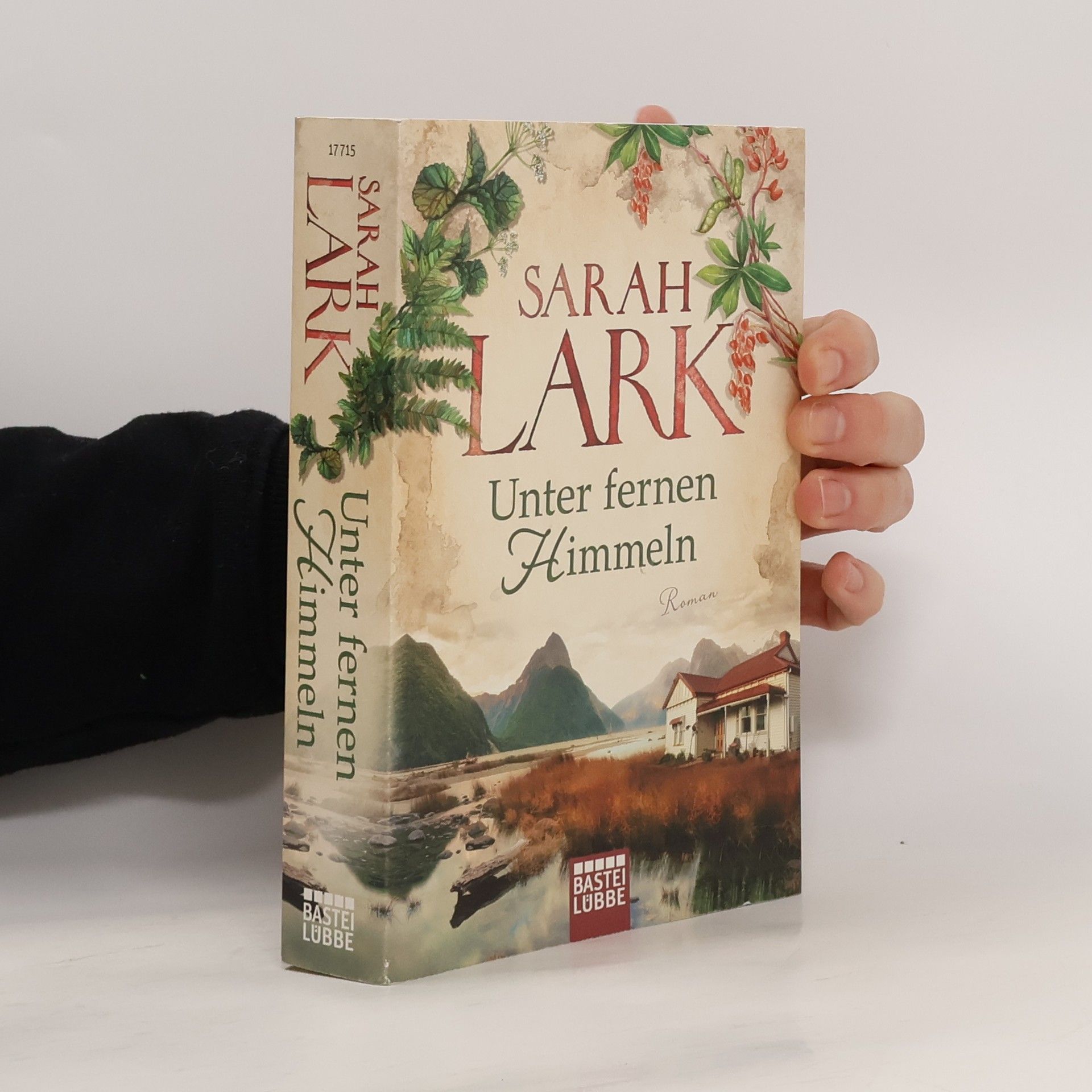 Christiane Gohl Unter fernen Himmeln