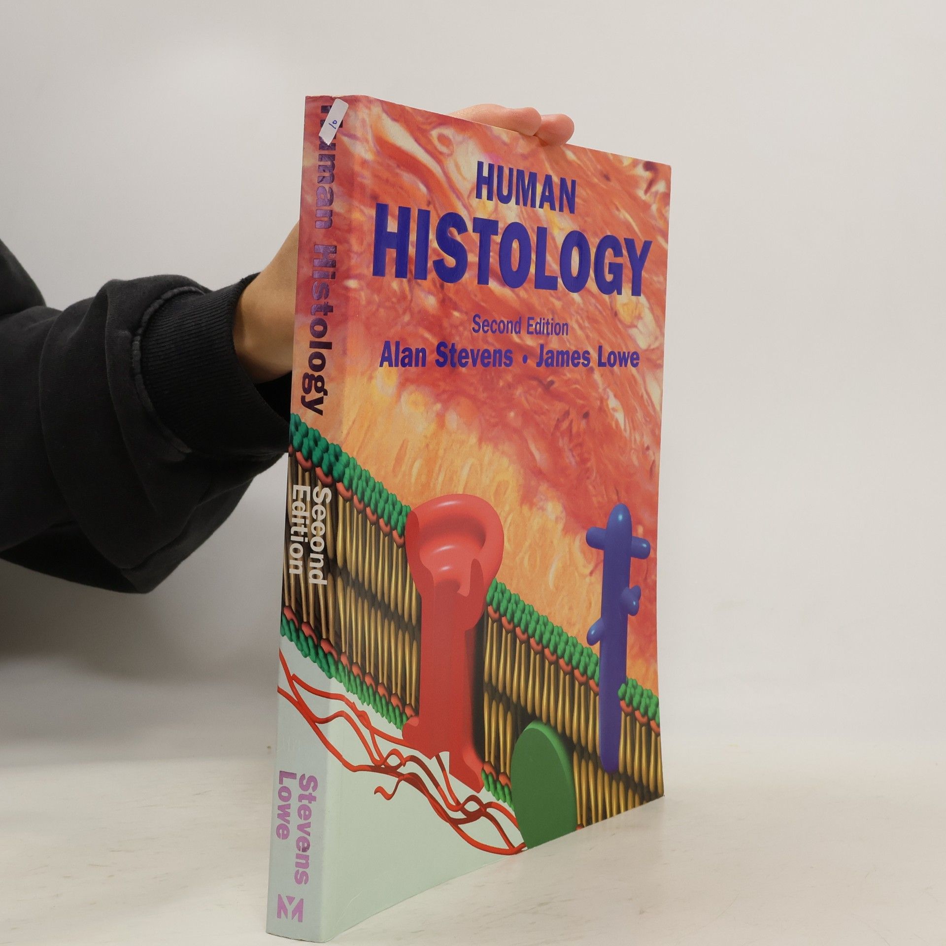Alan Stevens Human Histology - Second Edition
