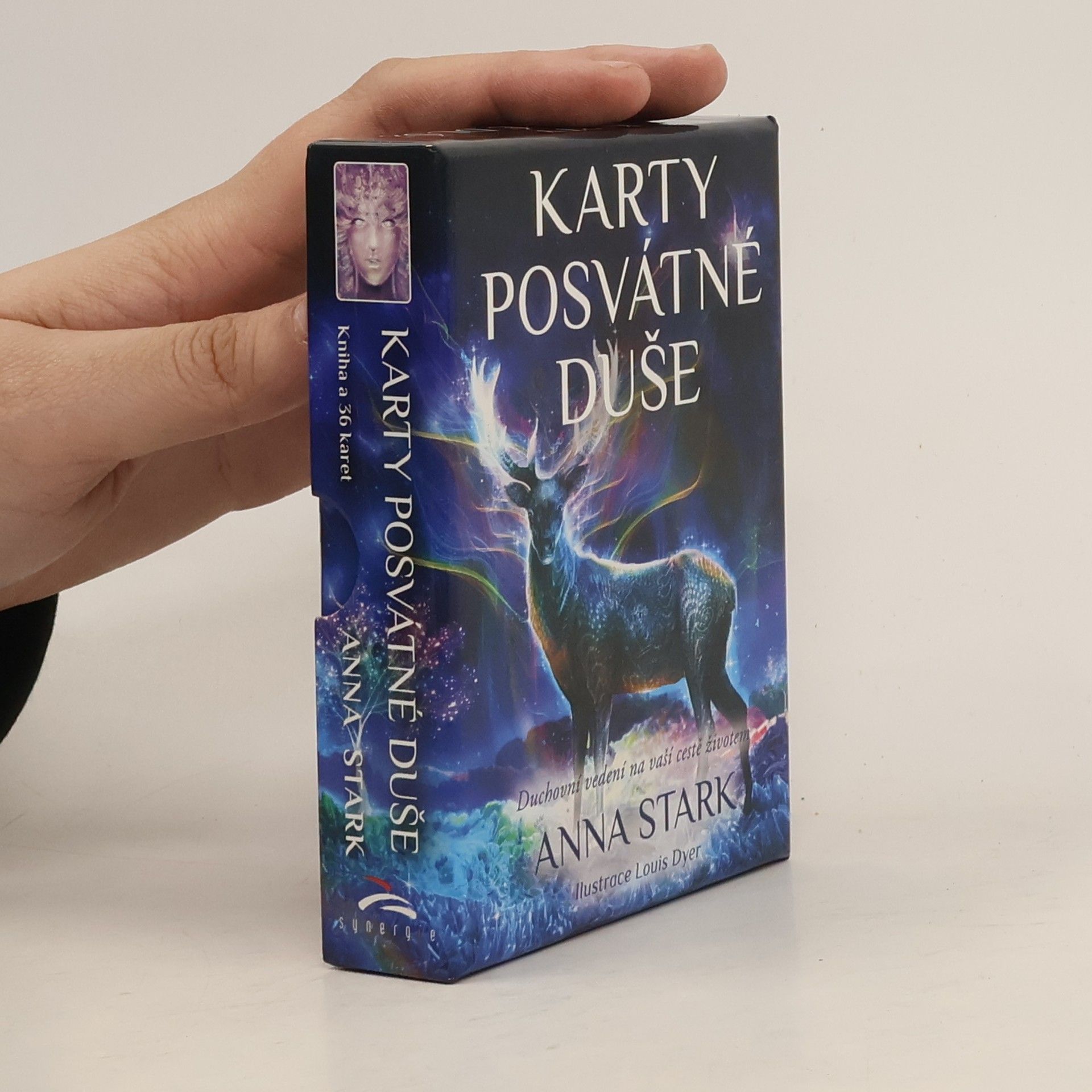 Anna Stark Karty posvátné duše