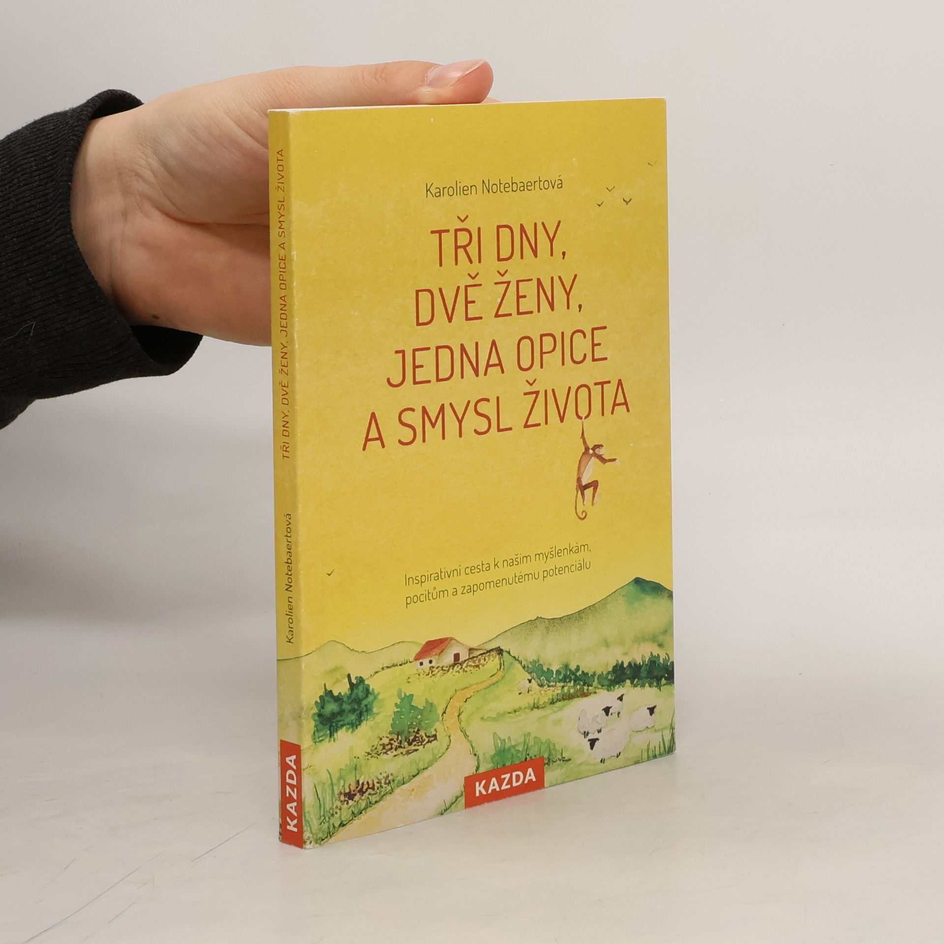Tři dny, dvě ženy, jedna opice a smysl života : inspirativní cesta k našim myšlenkám, pocitům a zapomenutému potenciálu