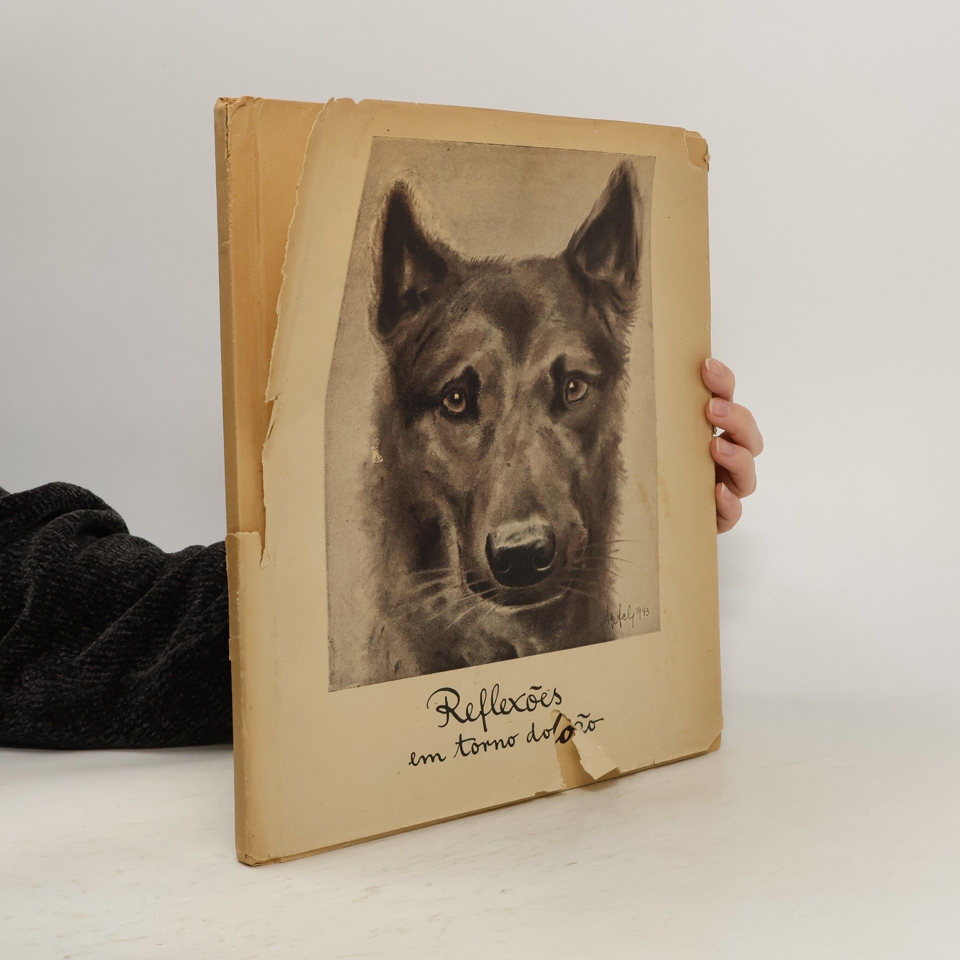 Alberto Apfel Reflexões em torno do cão