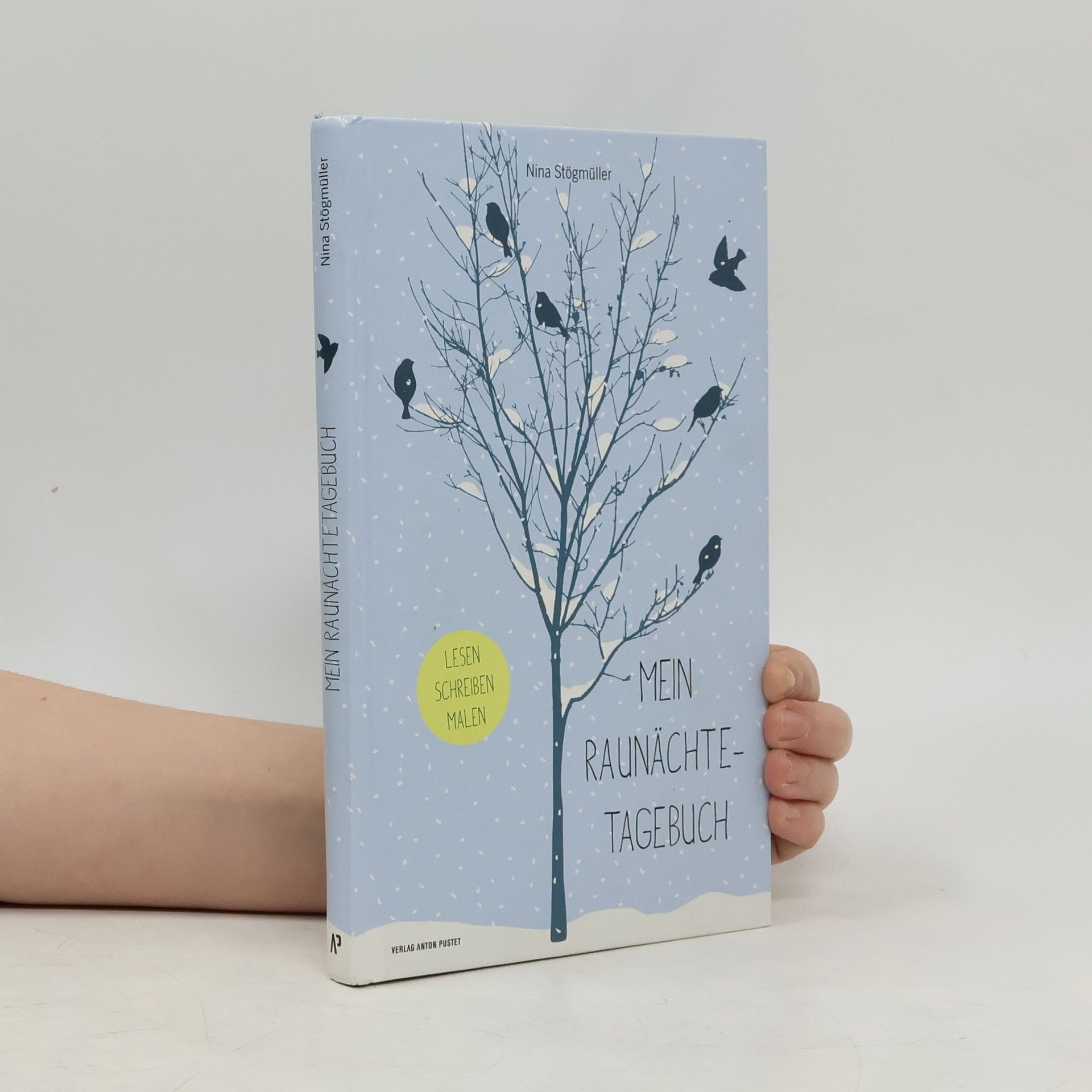Nina Stögmüller Mein Raunächtetagebuch