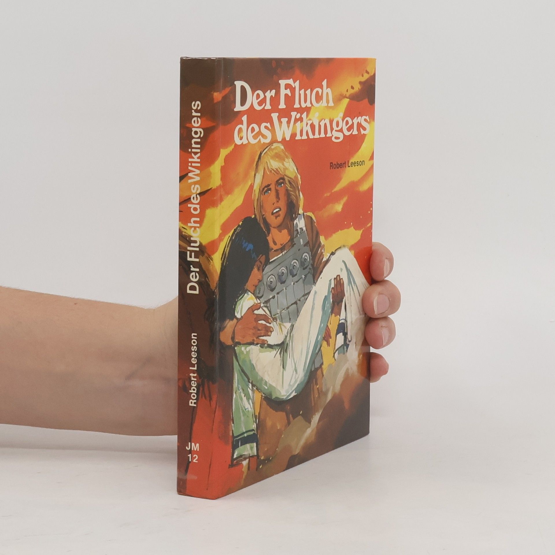 Der Fluch des Wikingers