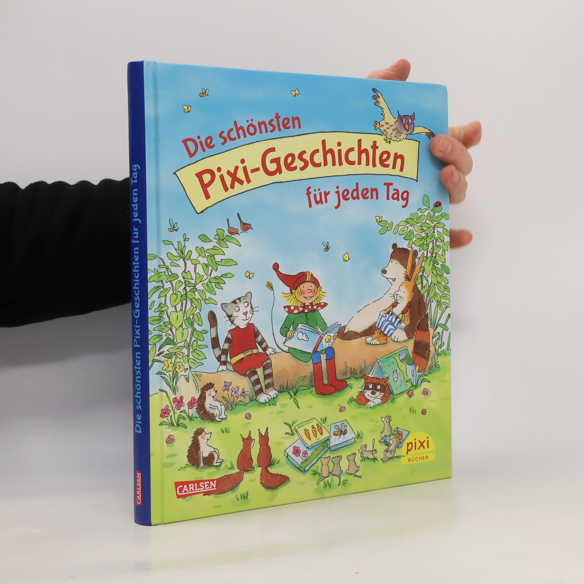 Auteurscollectief Die schönsten Pixi-Geschichten für jeden Tag