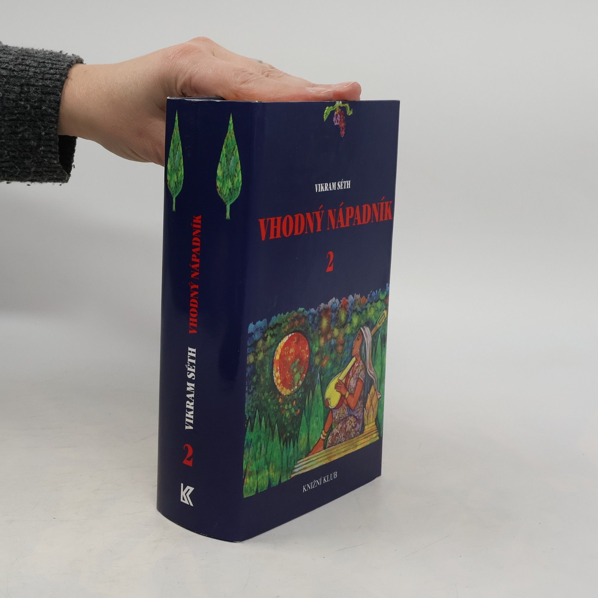 Vikram Séth Vhodný nápadník 2