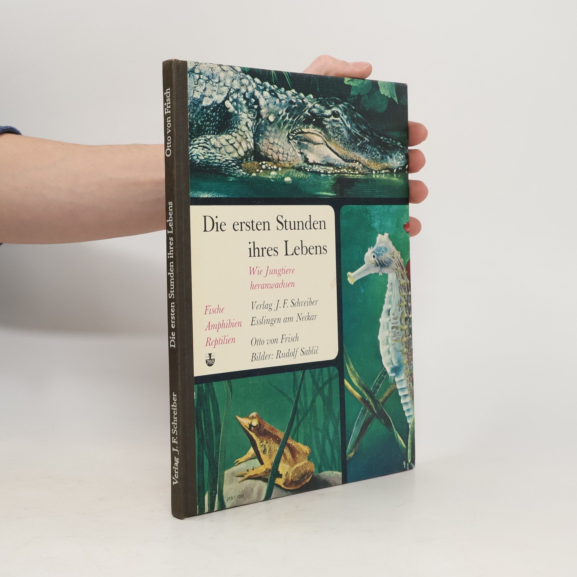 Otto von Frisch Die ersten Stunden ihres Lebens