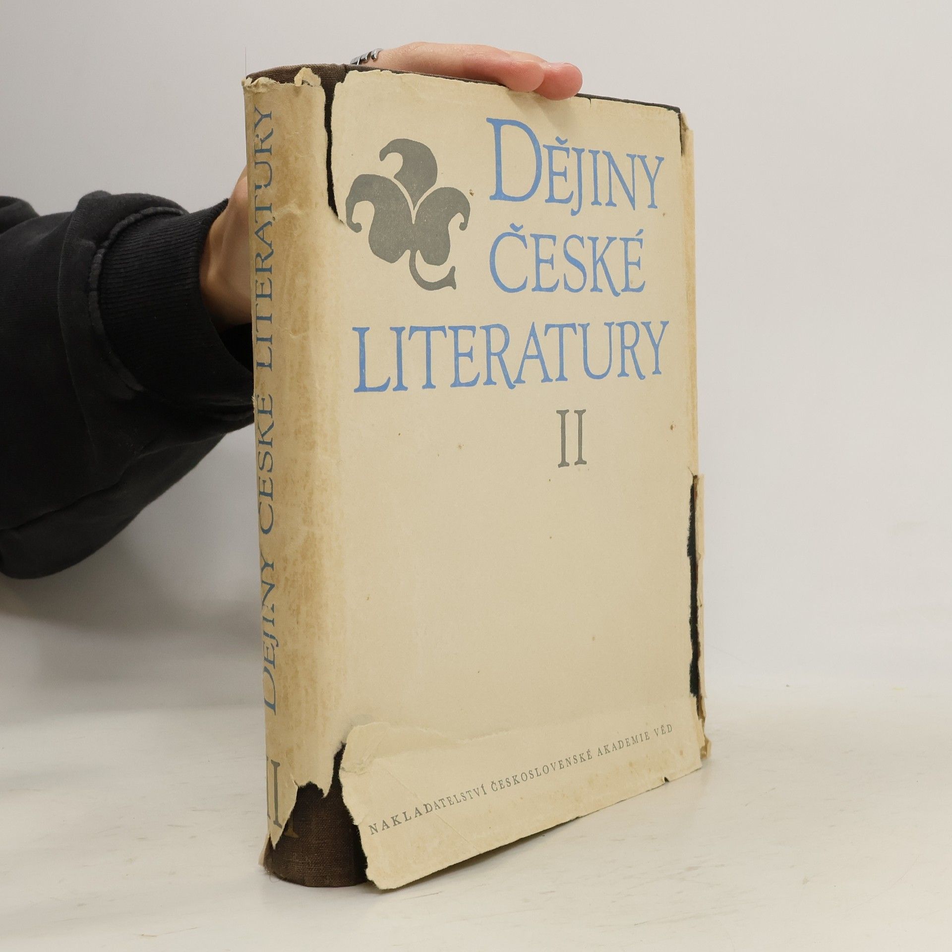 Kolektiv autorů Dějiny české literatury II. díl