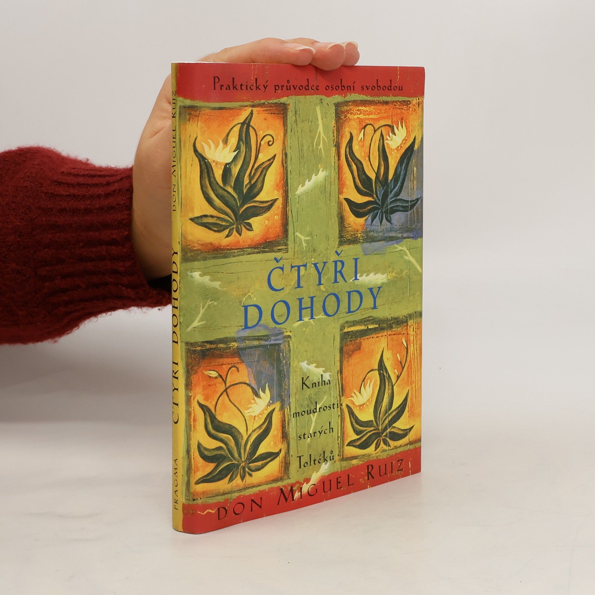 Don Miguel Ruiz Čtyři dohody