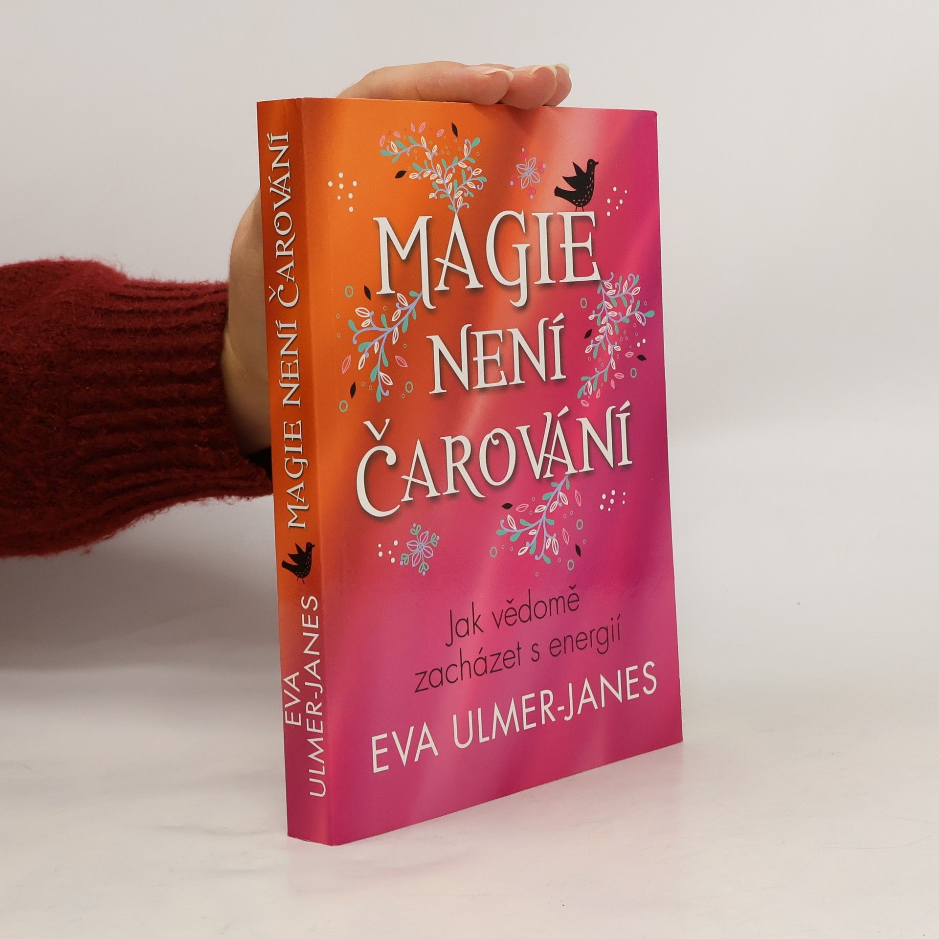 Eva Ulmer Janes Magie není čarování
