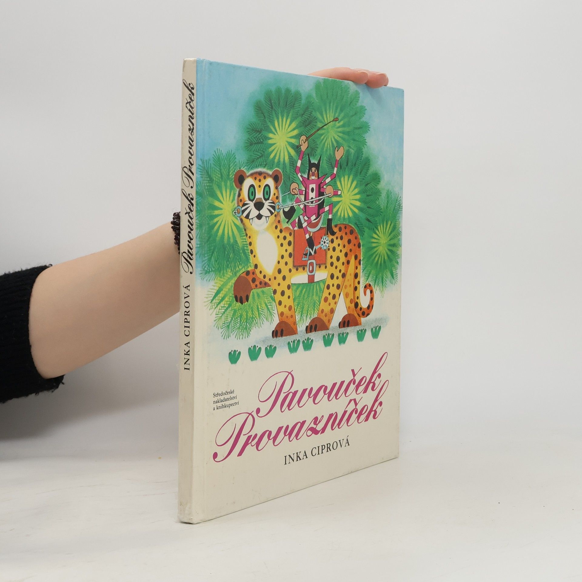 Pavouček Provazníček