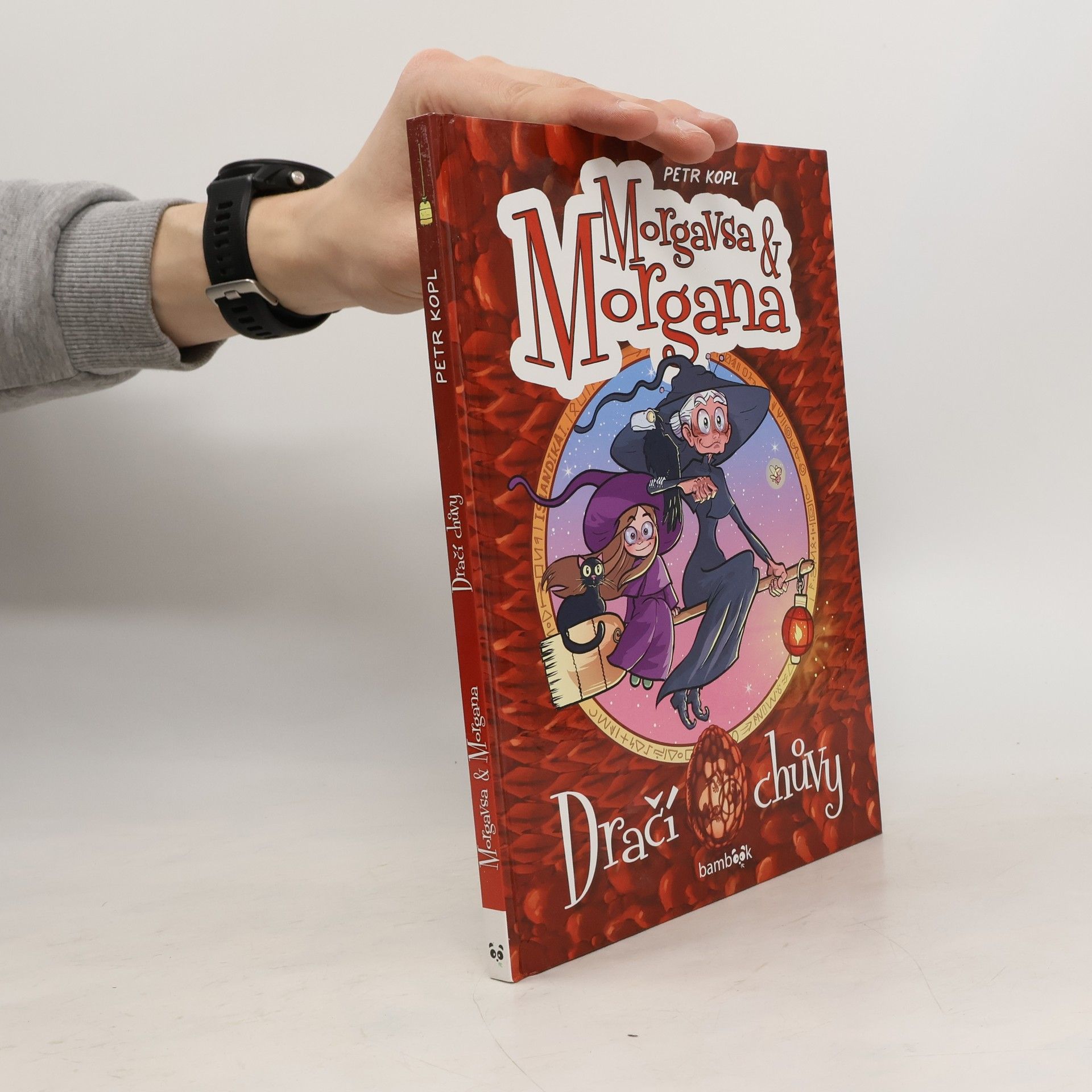 Petr Kopl Morgavsa a Morgana - Dračí chůvy