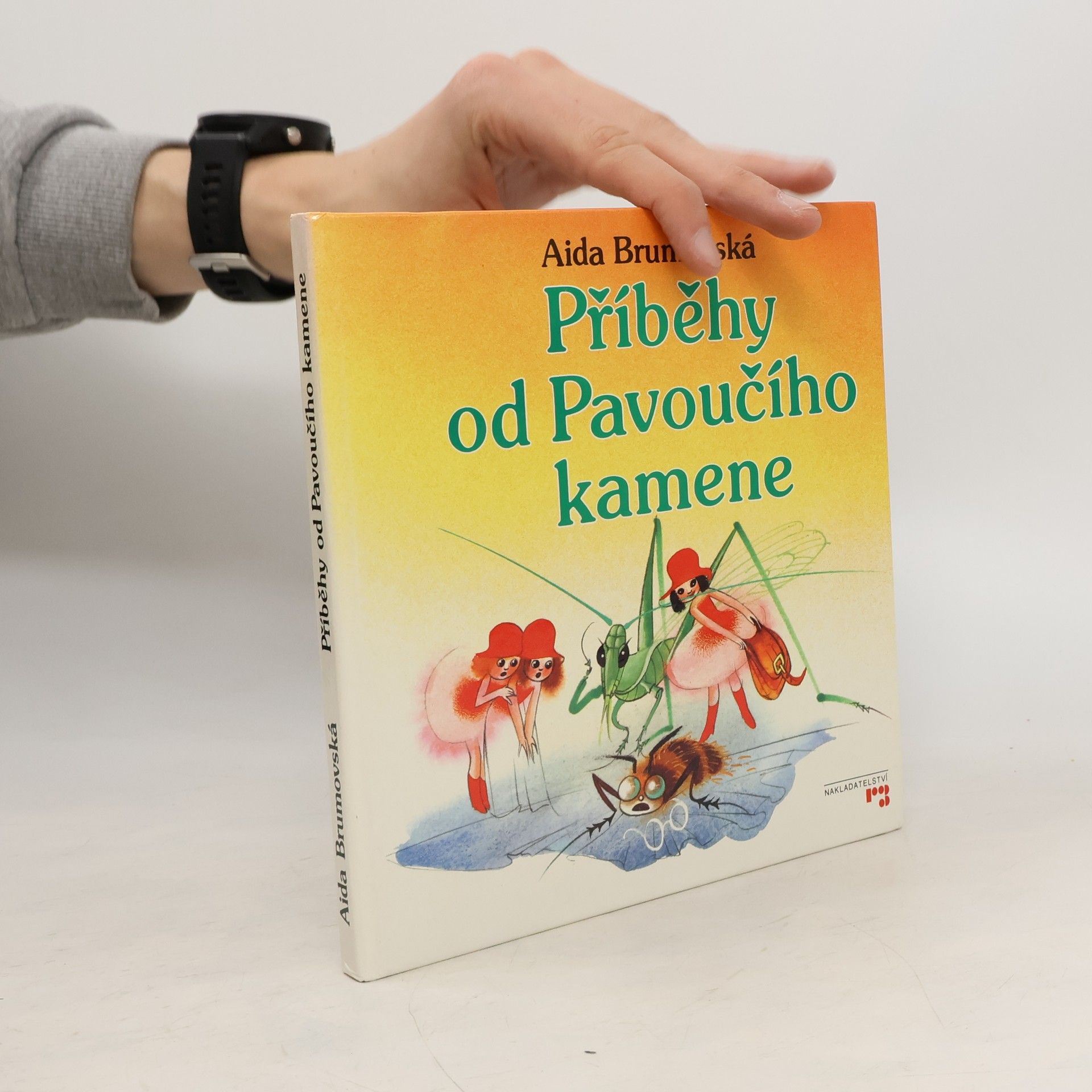 Aida Brumovská Příběhy od Pavoučího kamene