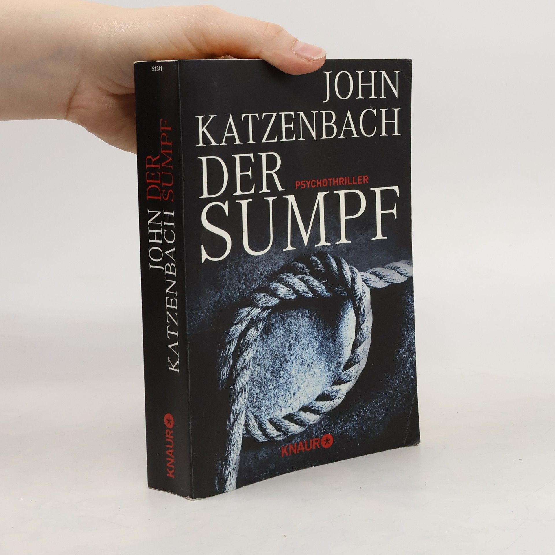 John Katzenbach Der Sumpf