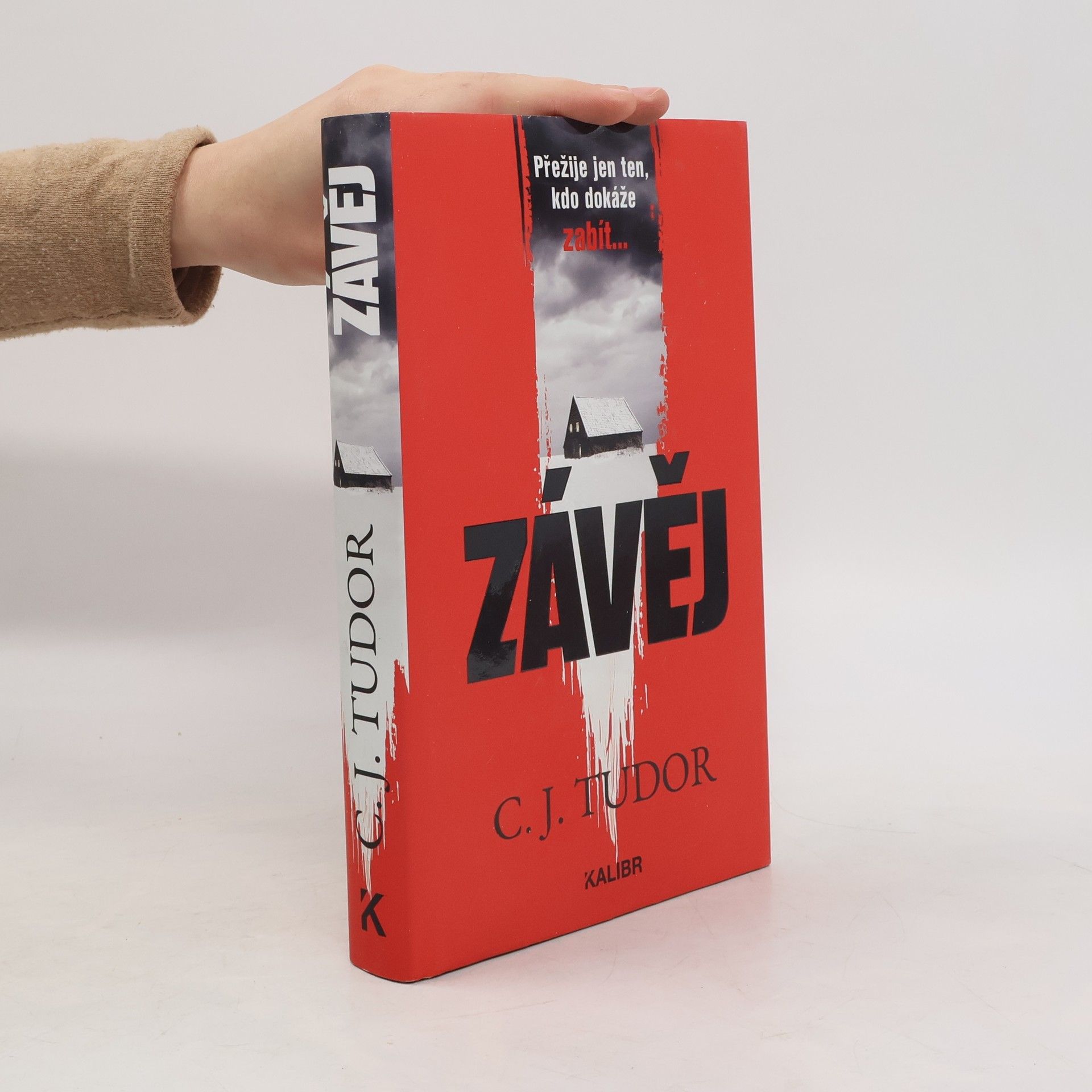 Jana Kunová Závěj