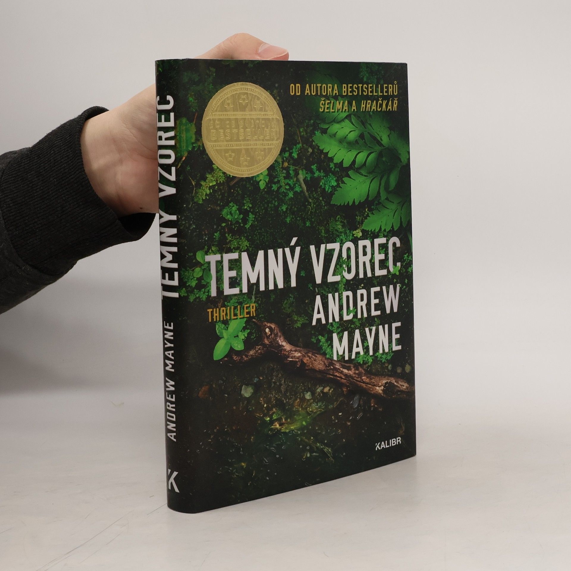 Andrew Mayne Temný vzorec