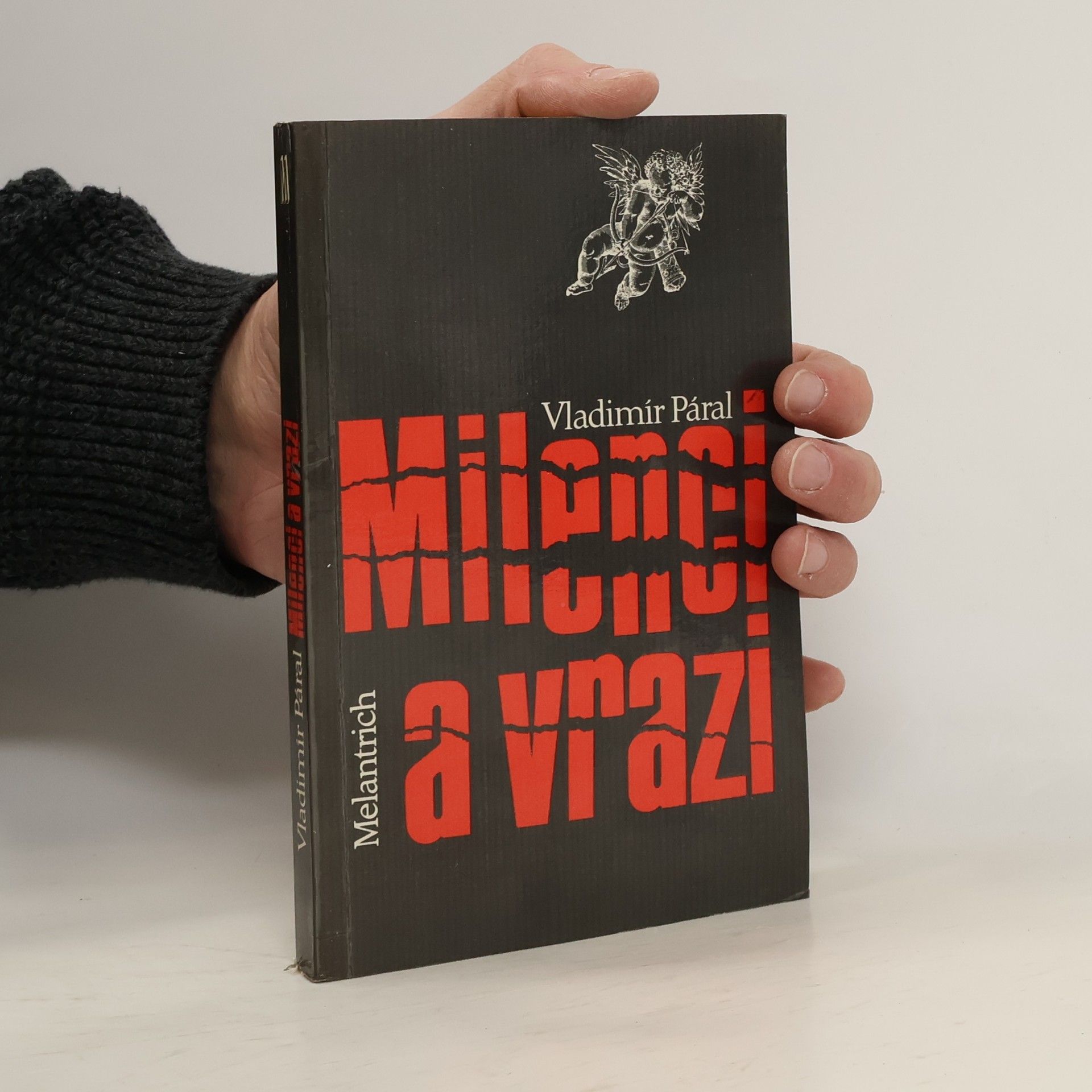 Vladimír Páral Milenci a vrazi