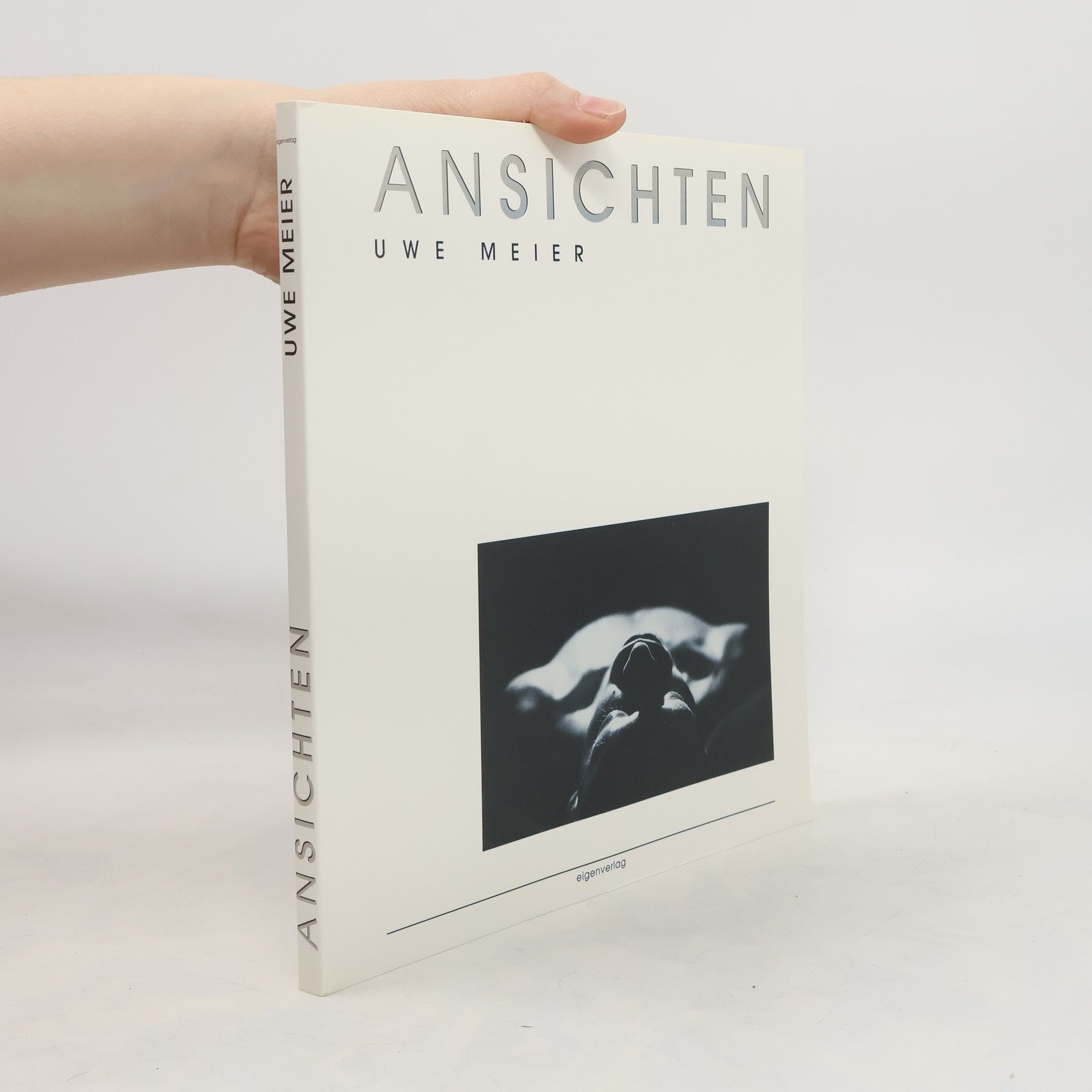 Uwe Meier Ansichten