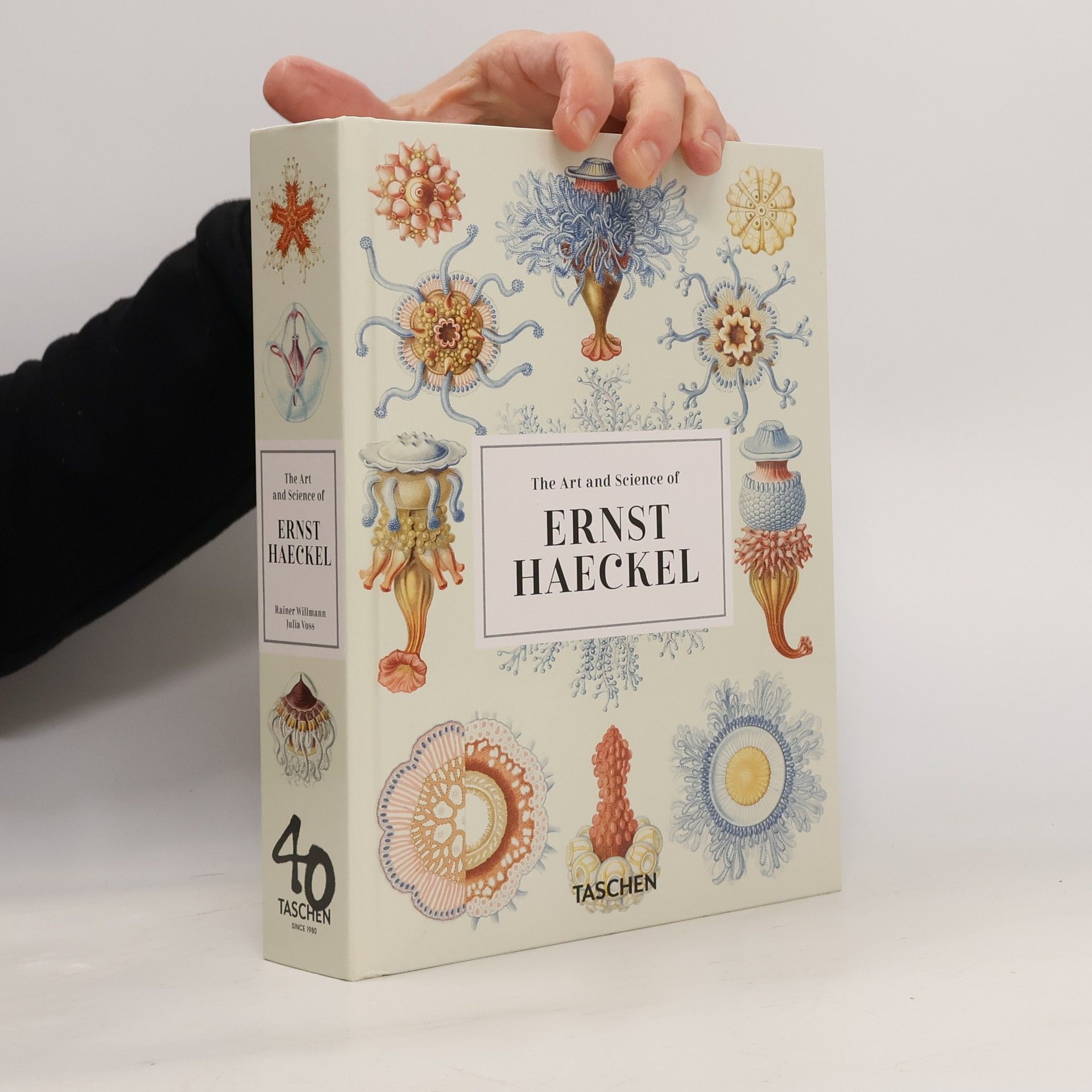 The art and science of Ernst Haeckel