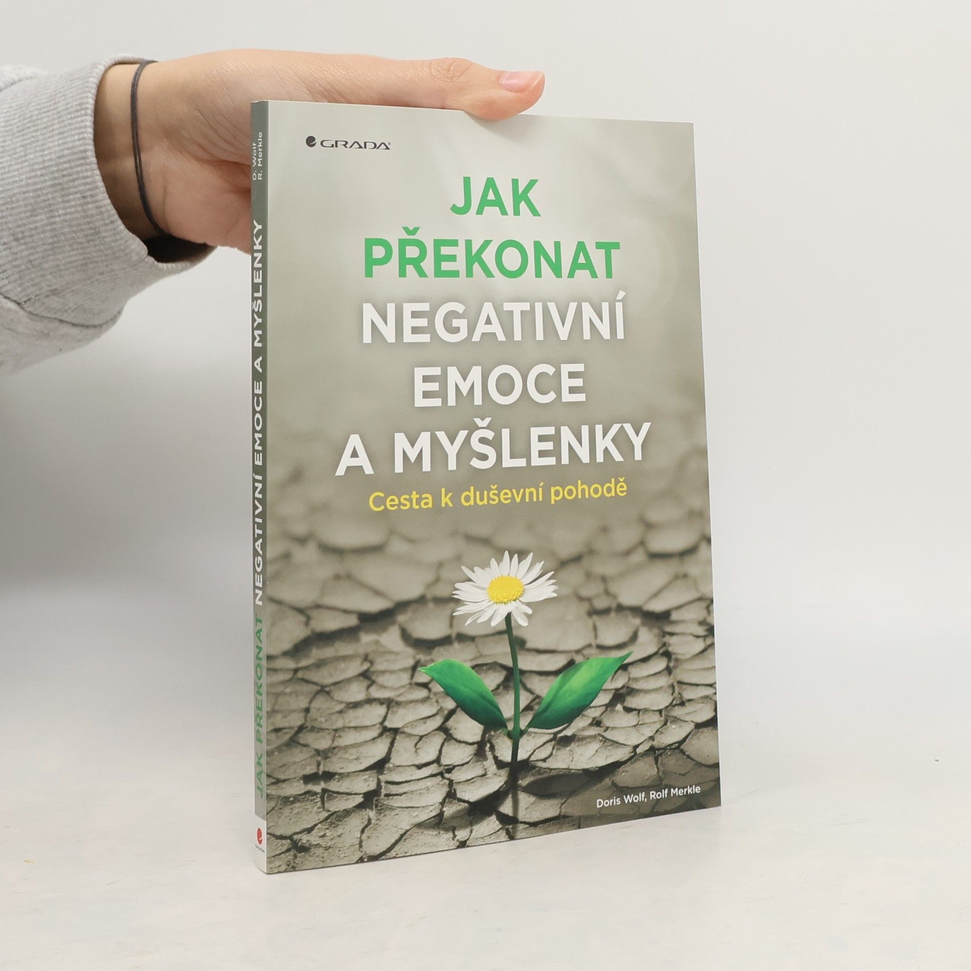 Jak překonat negativní emoce a myšlenky : cesta k duševní pohodě