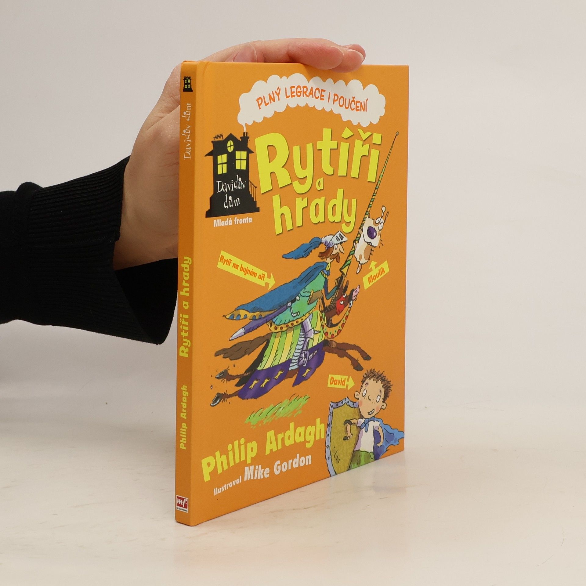 Philip Ardagh Davidův dům. Rytíři a hrady