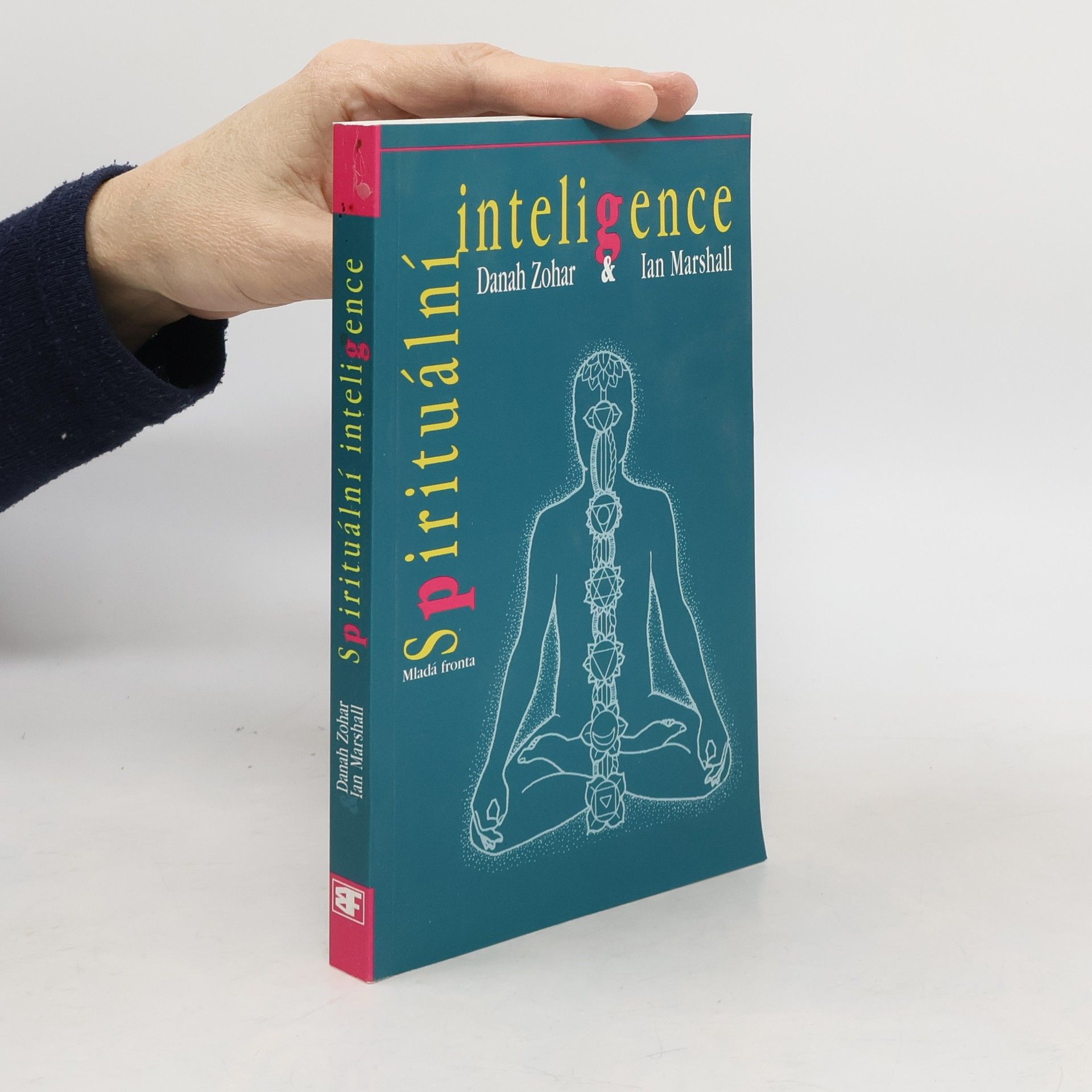 Spirituální inteligence