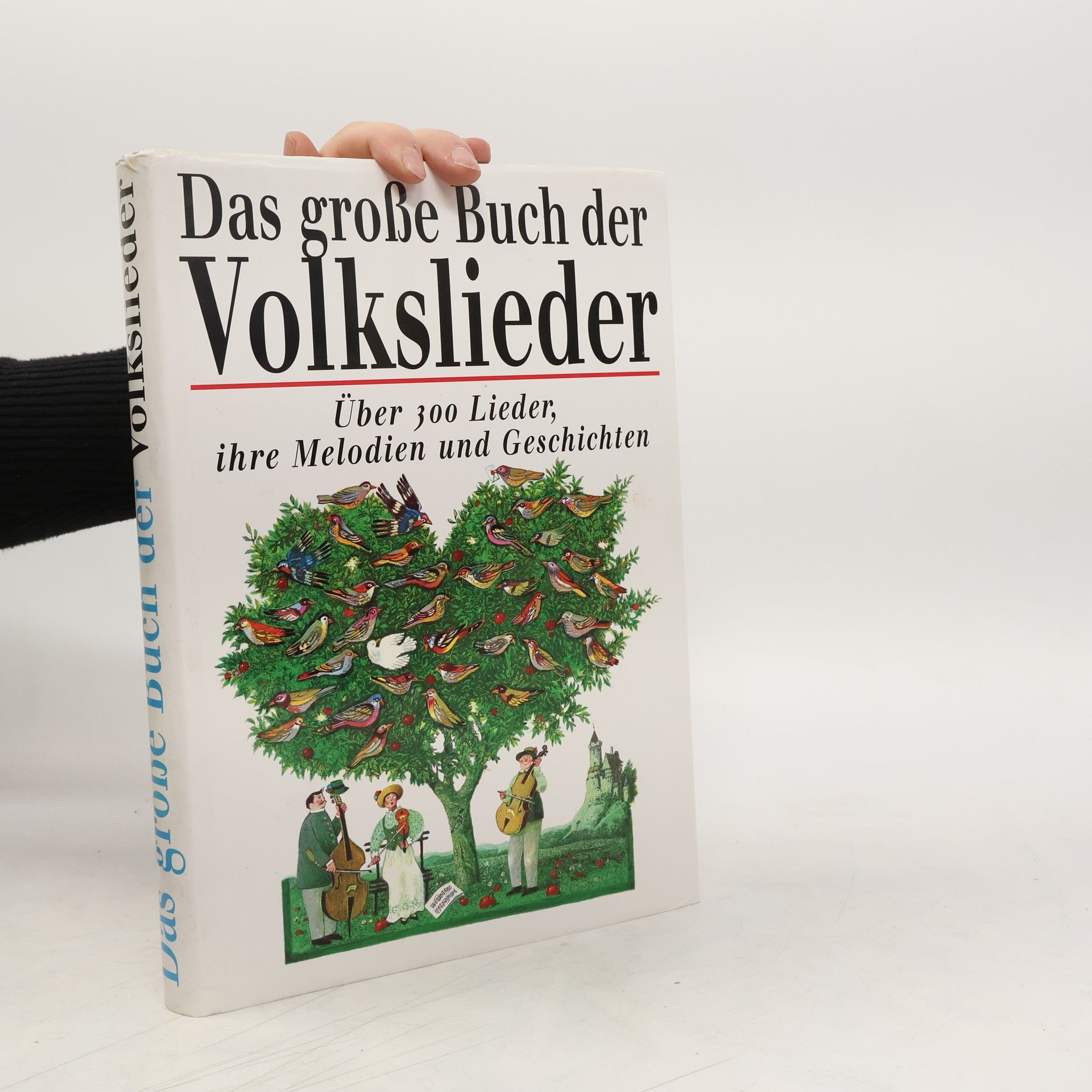 AA.VV. Das große Buch der Volkslieder