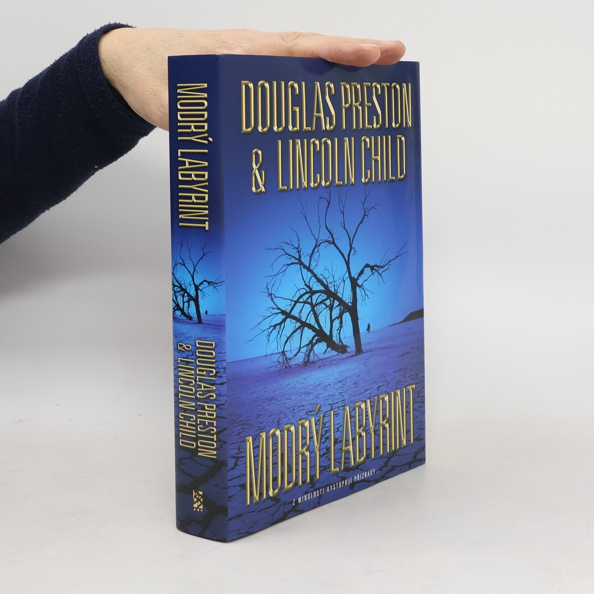 Douglas J. Preston Modrý labyrint