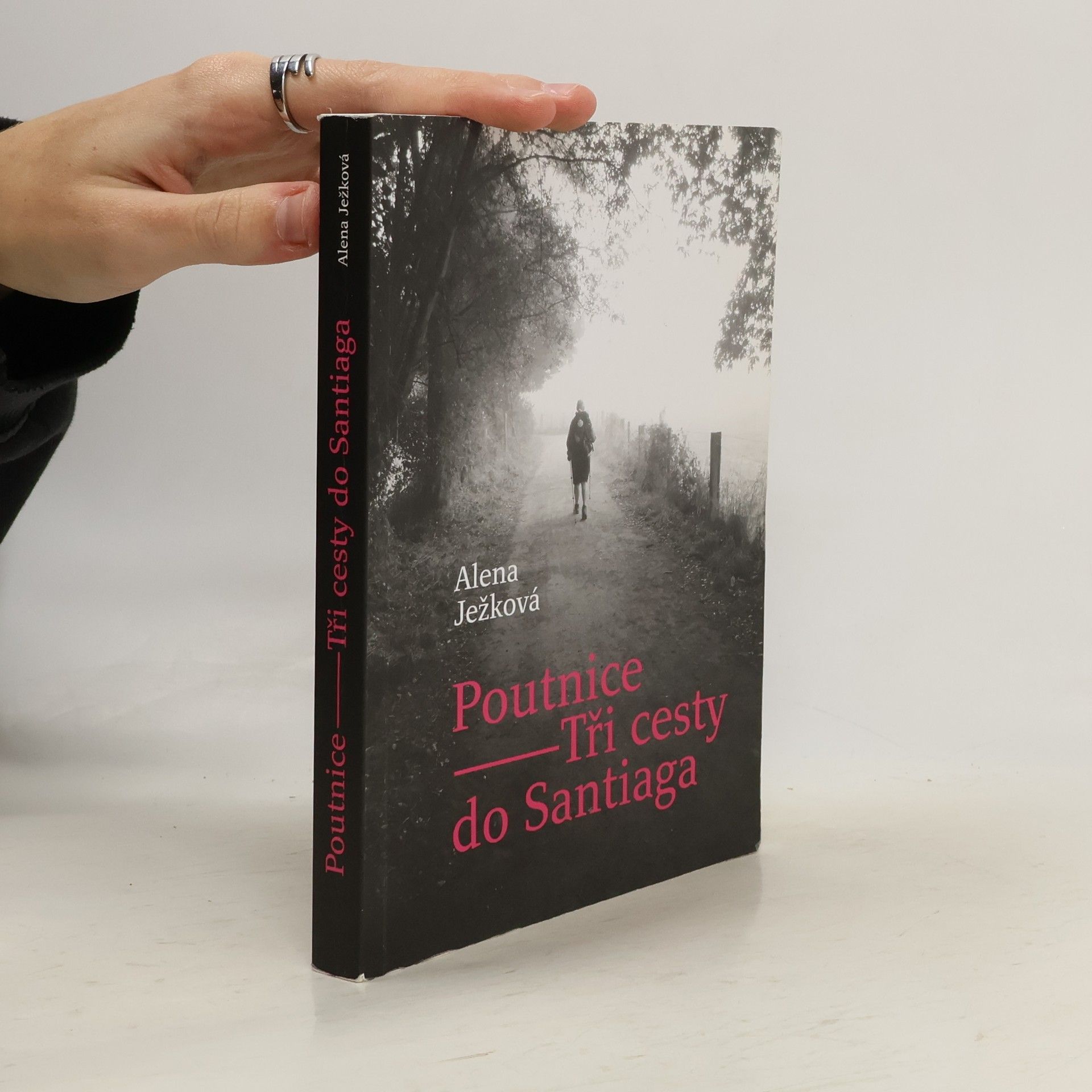 Alena Ježková Poutnice: Tři cesty do Santiaga