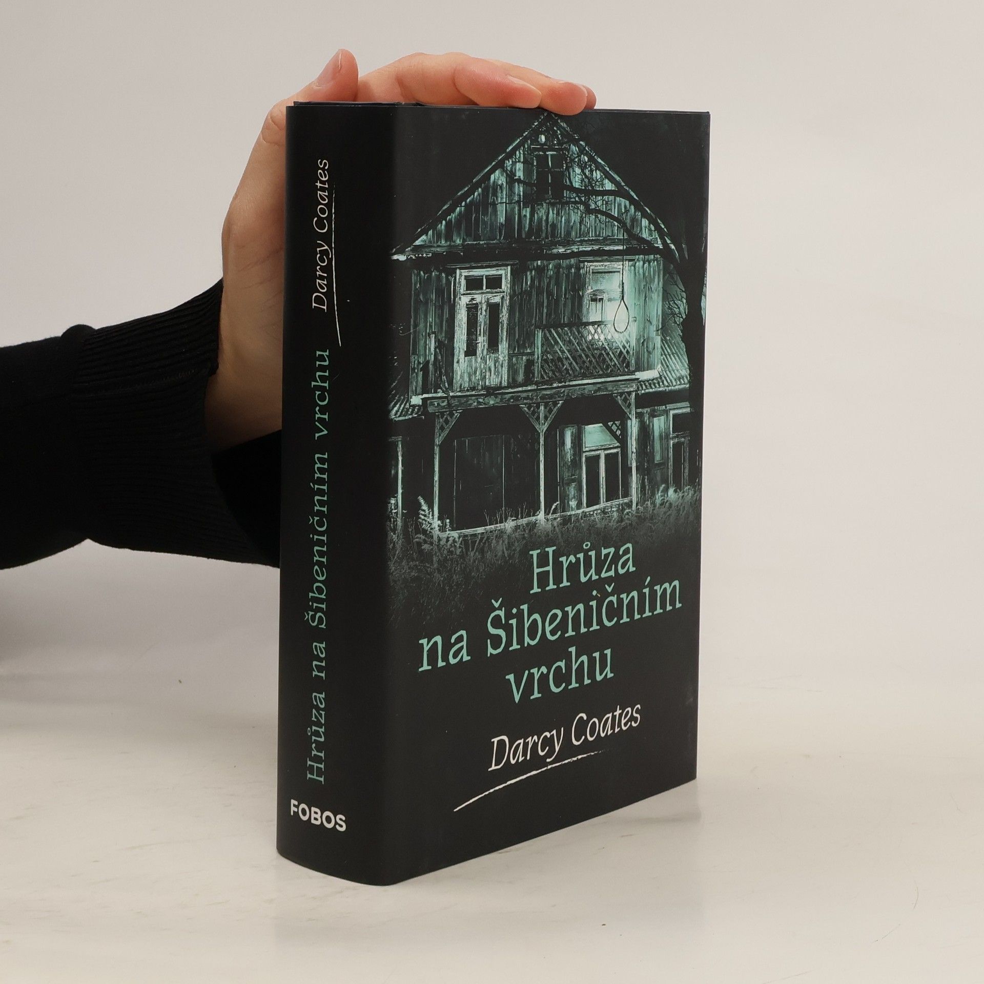 Darcy Coates Hrůza na Šibeničním vrchu