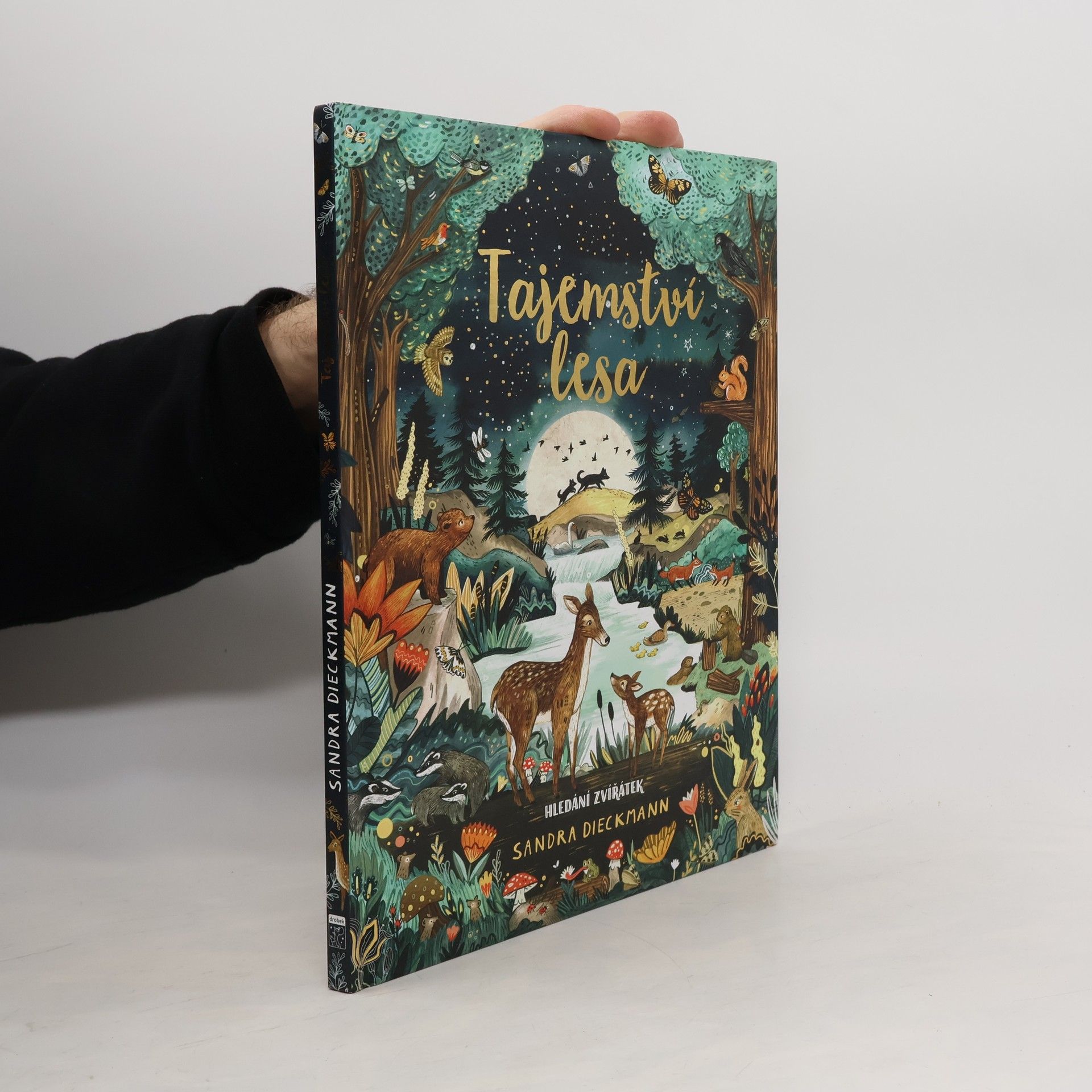 Tajemství lesa. Hledání zvířátek