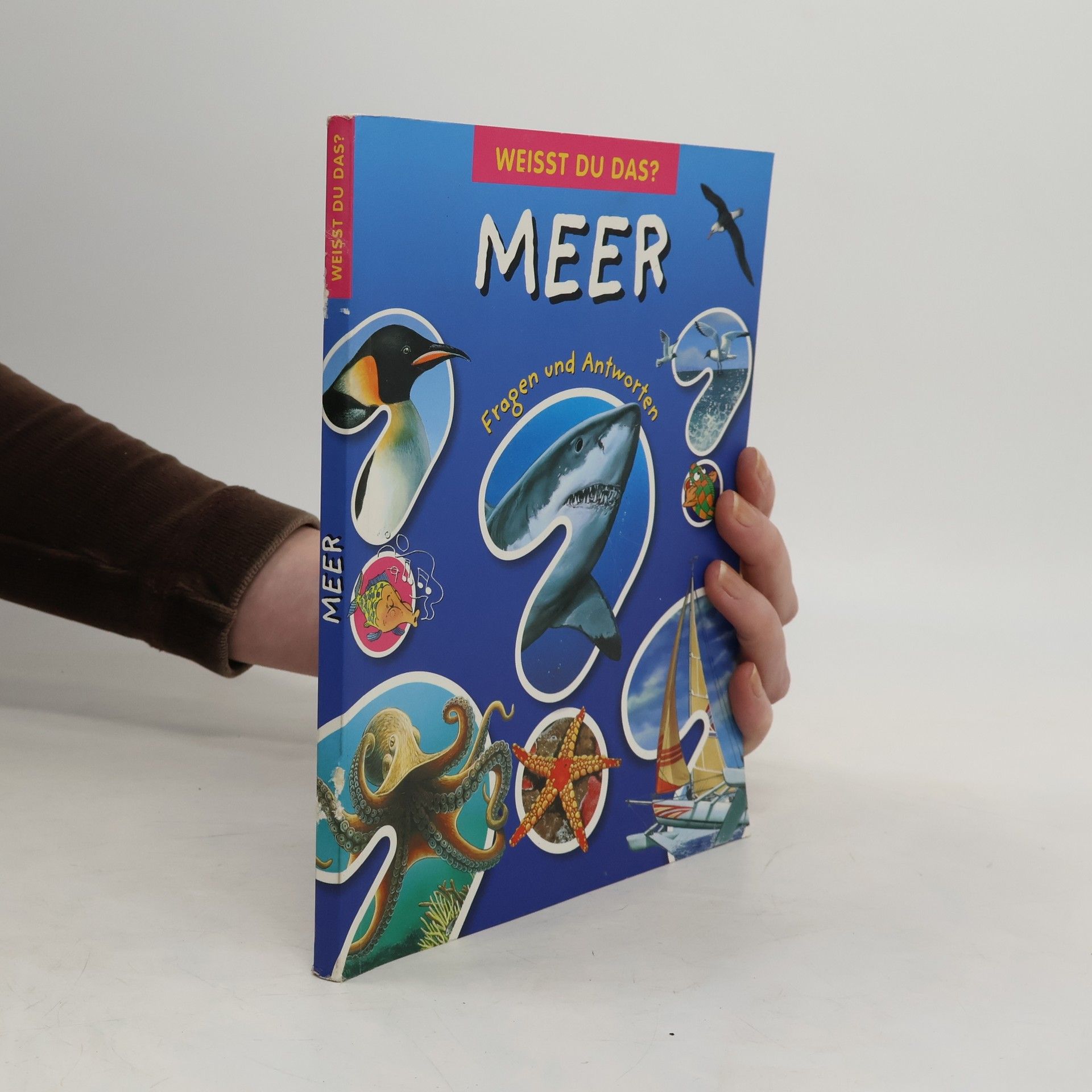 Emilie Beaumont Weisst du das?: Meer