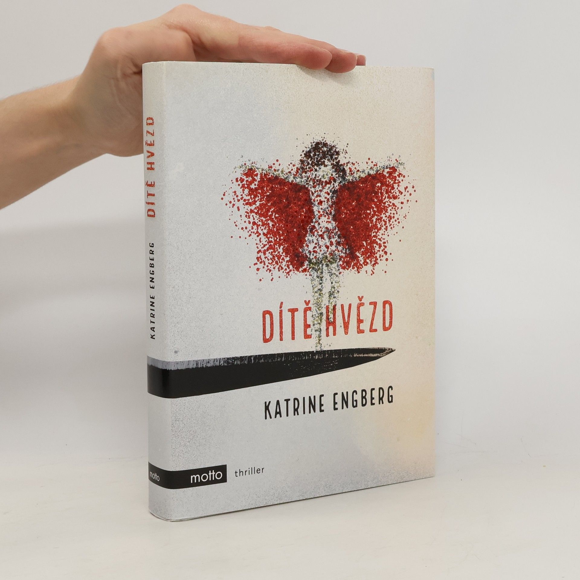 Katrine Engberg Dítě hvězd