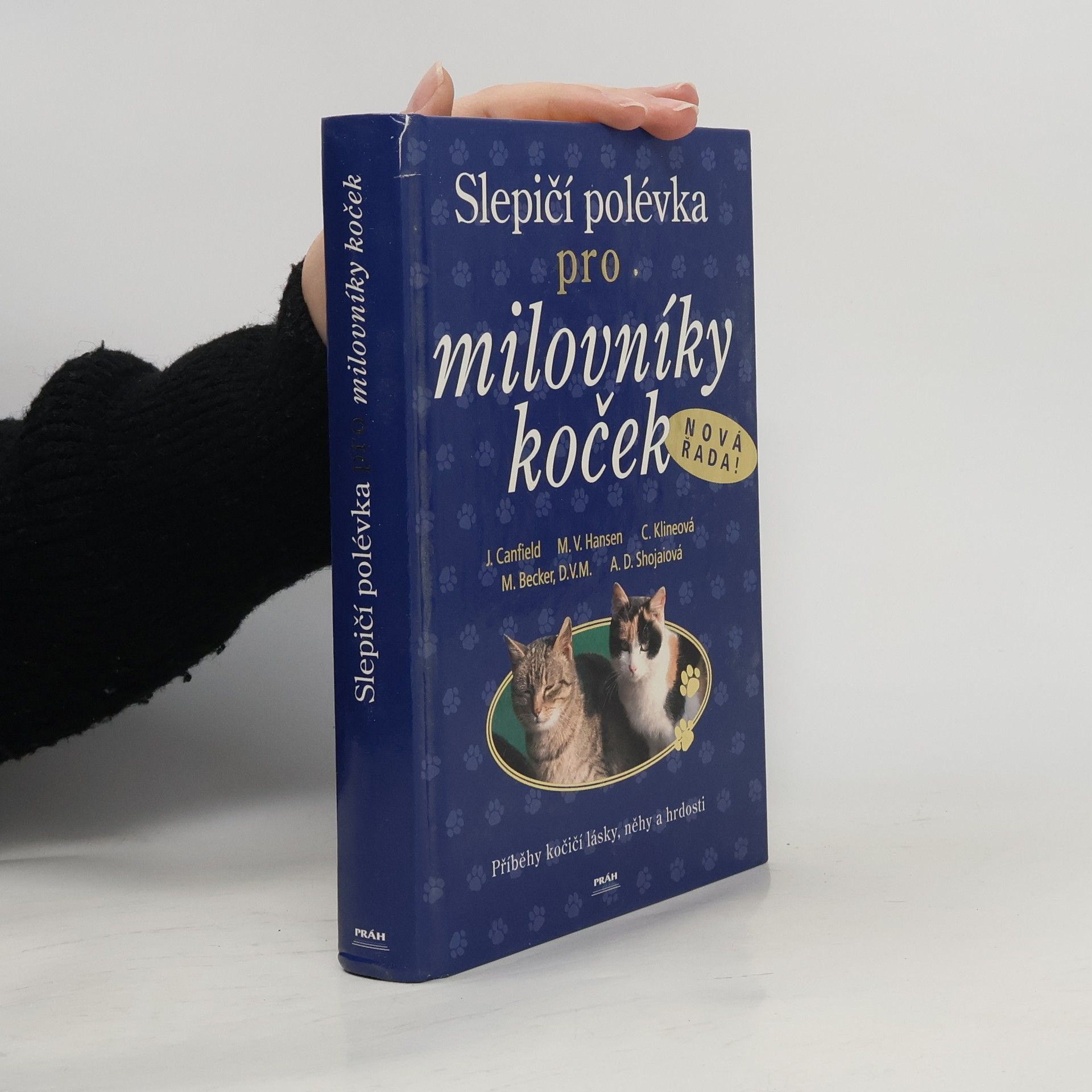 Jack Canfield Slepičí polévka pro milovníky koček: Příběhy o kočičí věrnosti, radosti i odvaze