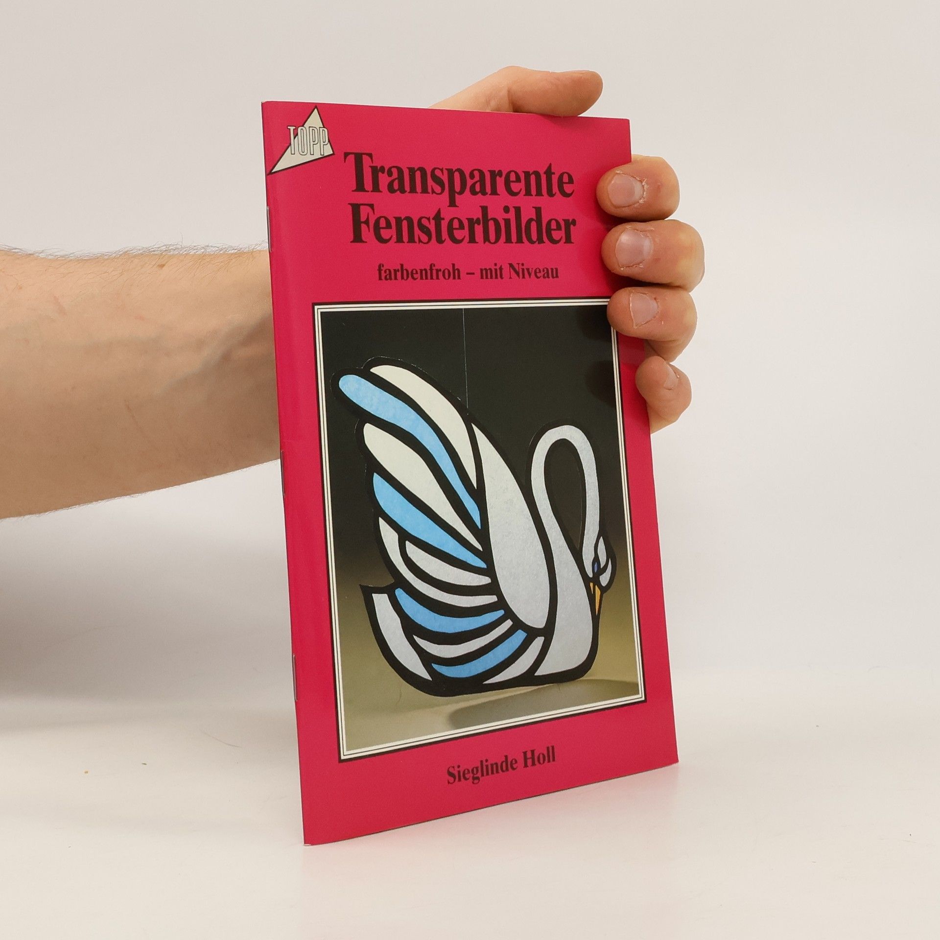 Autorenkollektiv Transparente Fensterbilder