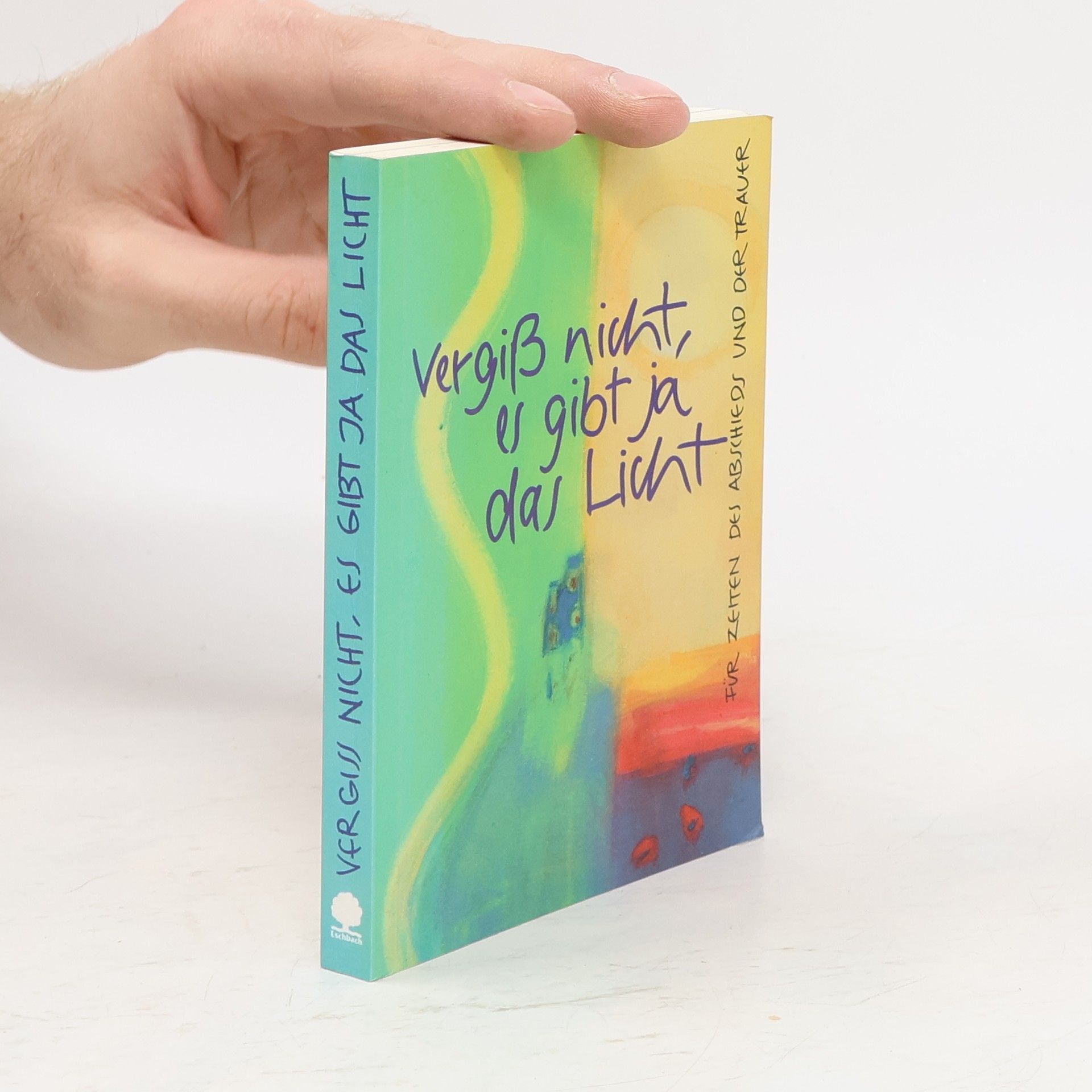Martin Schmeisser Vergiß nicht, es gibt ja das Licht