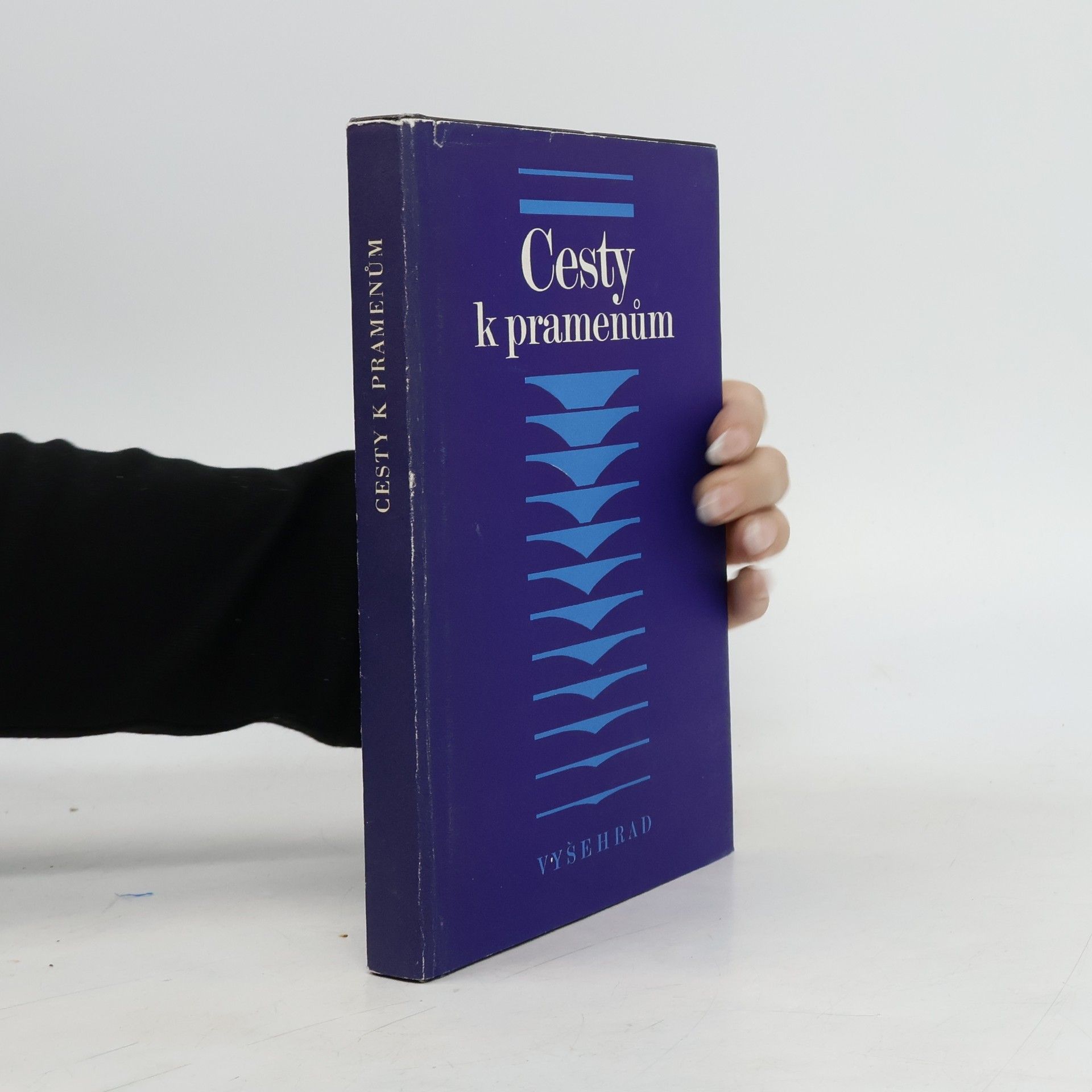 Kurt Schubert Cesty k pramenům