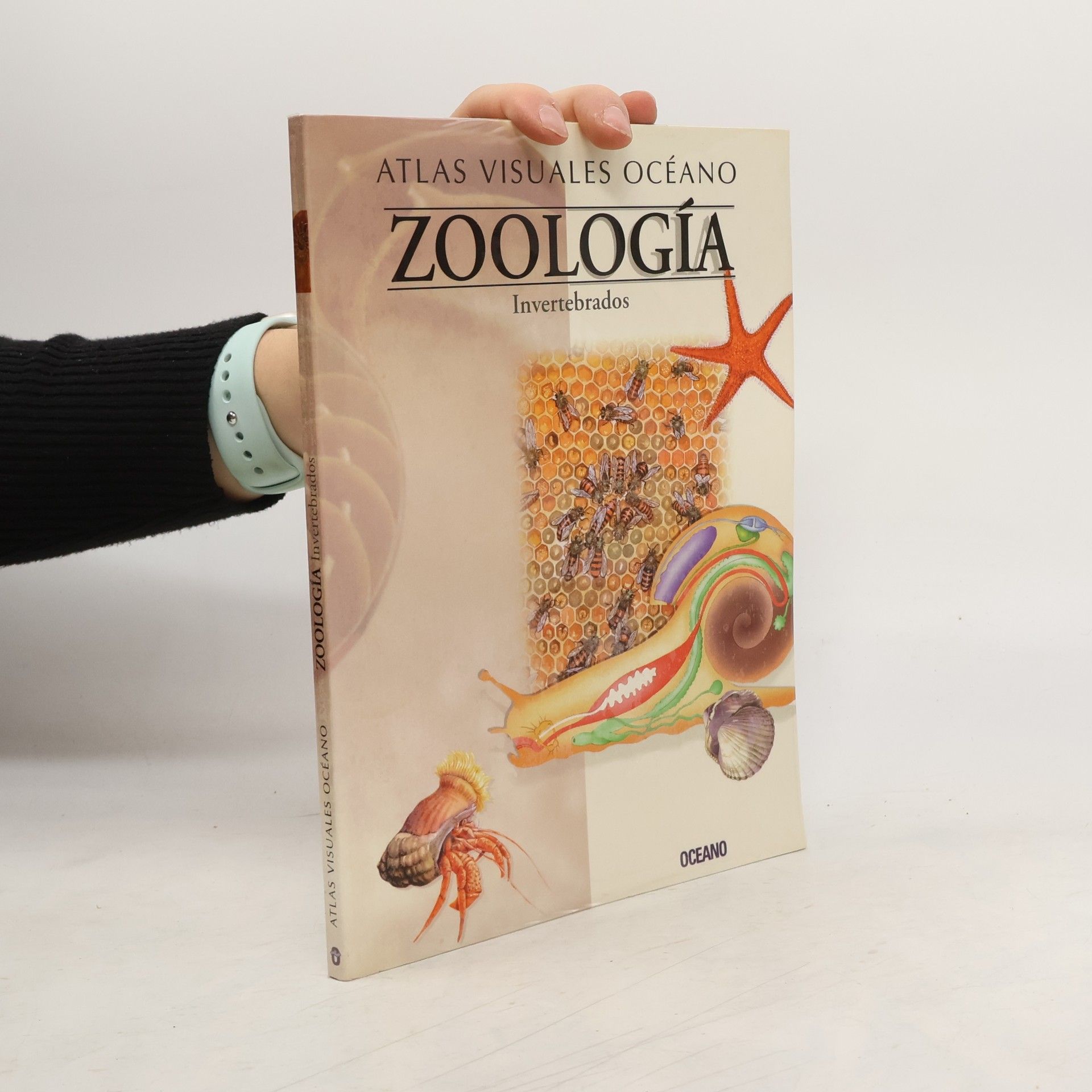 Autores varios Atlas Visuales Oceano