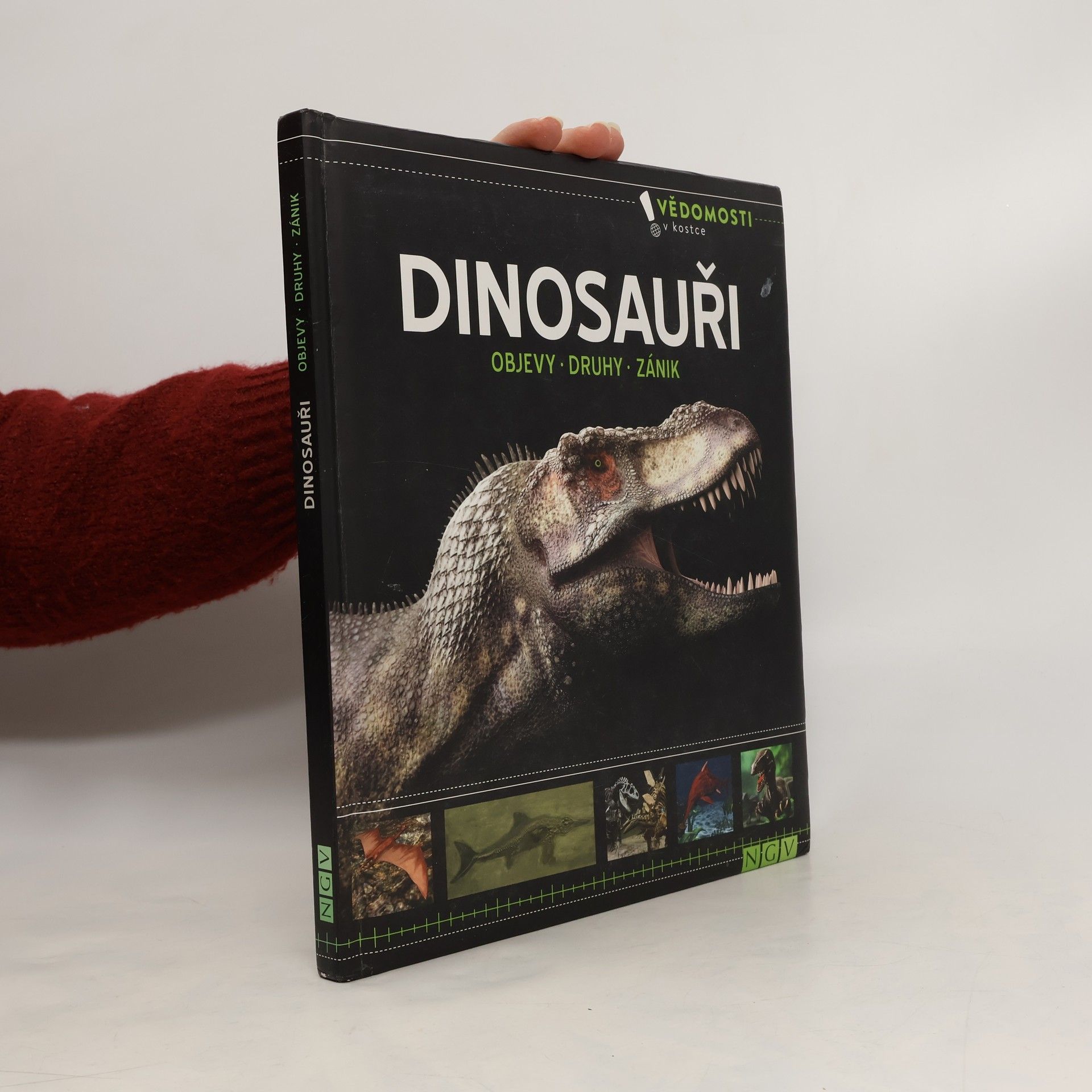 Kolektiv autorů Dinosauři