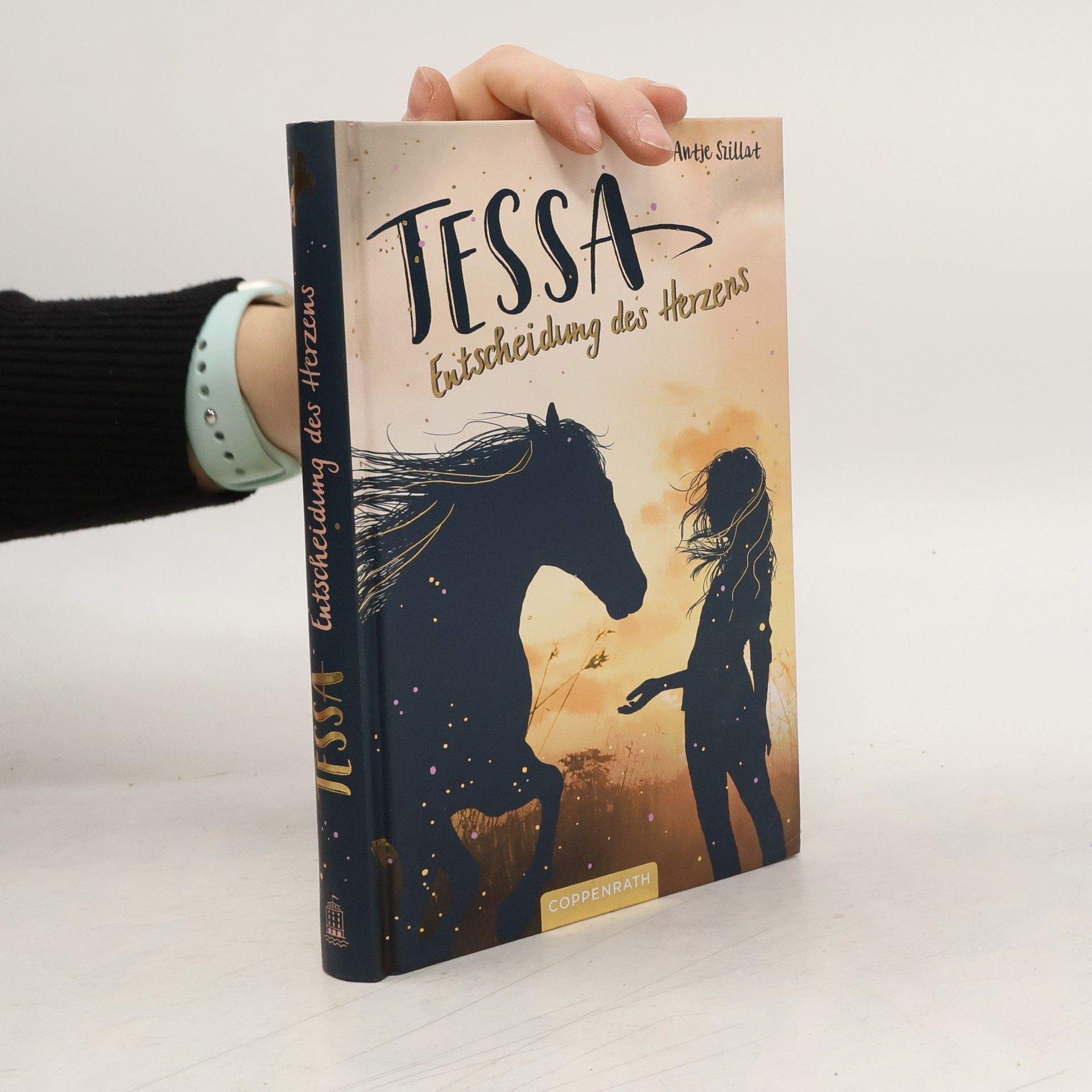 Antje Szillat Tessa (Bd. 1)