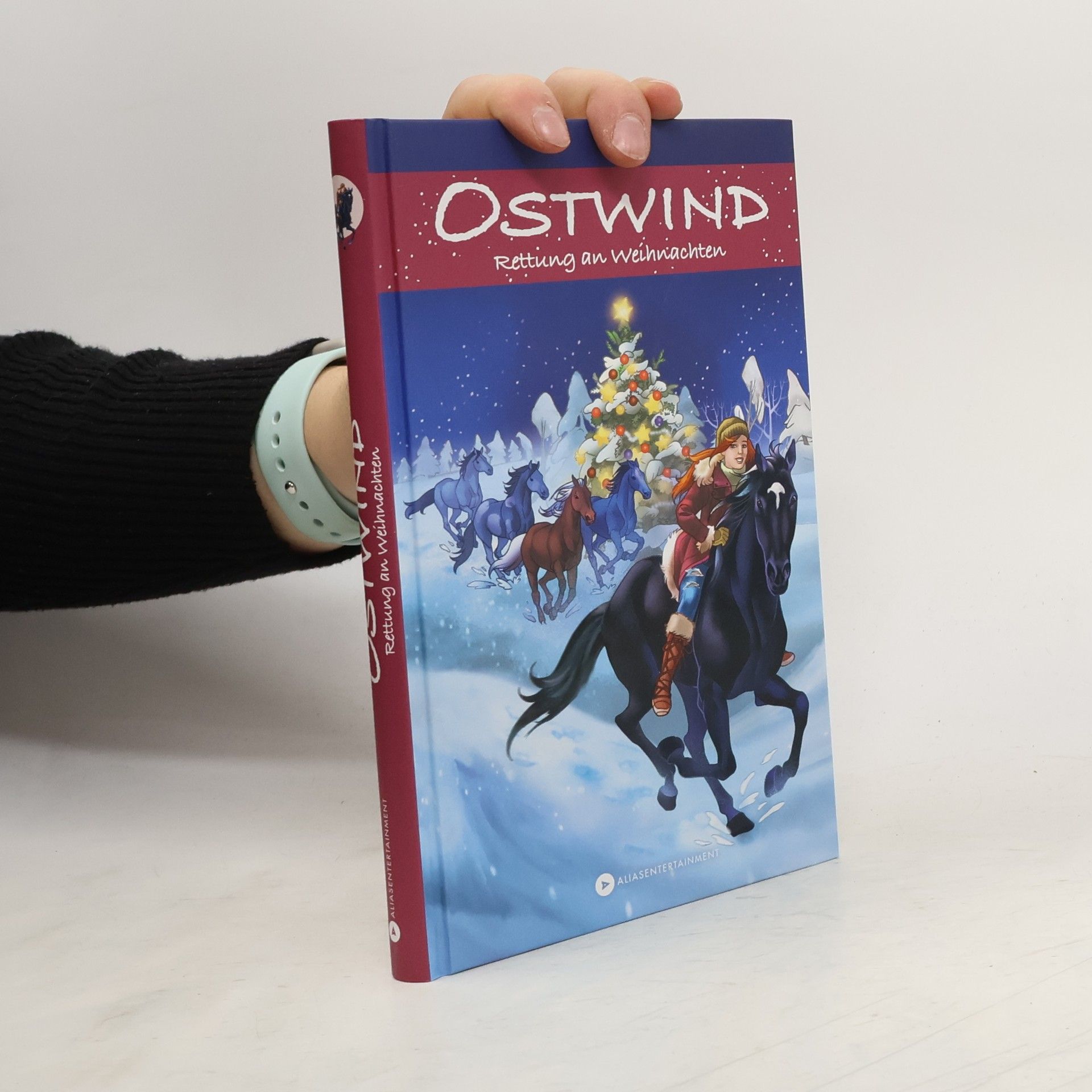 Ostwind - Rettung an Weihnachten